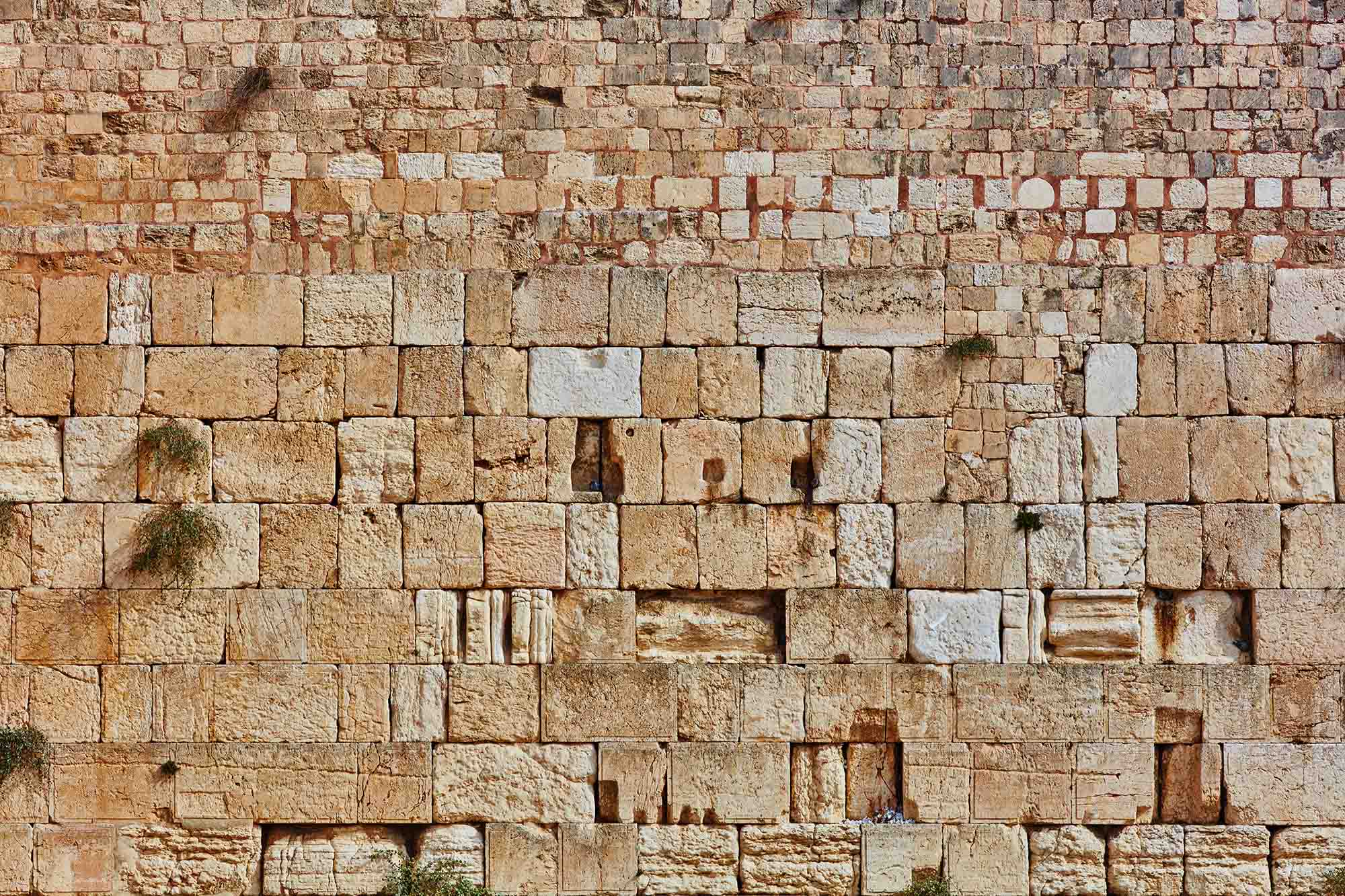 Western Wall, Jerusalem (Large)