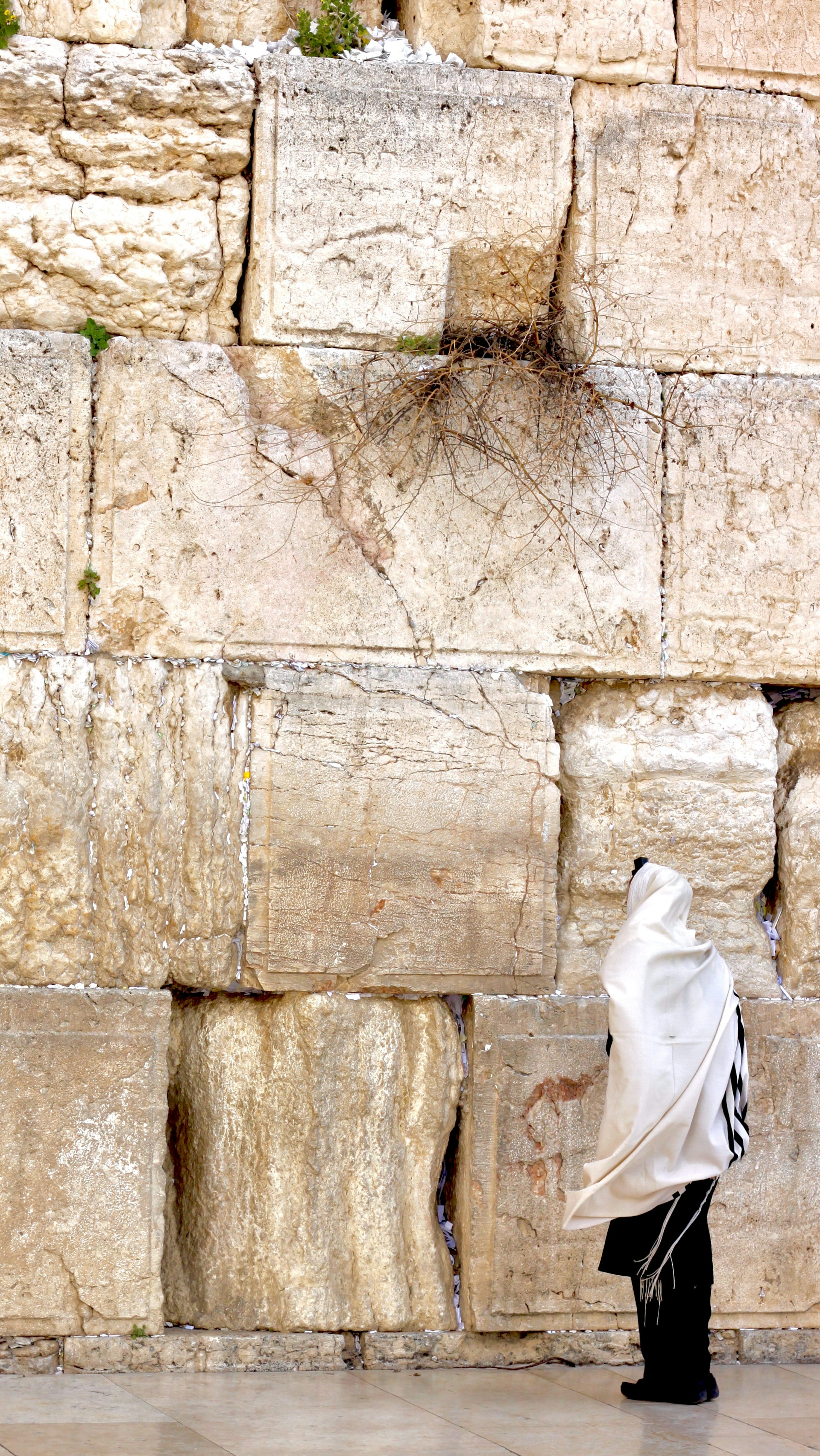 1K+ Western Wall Picture. Download Free Image