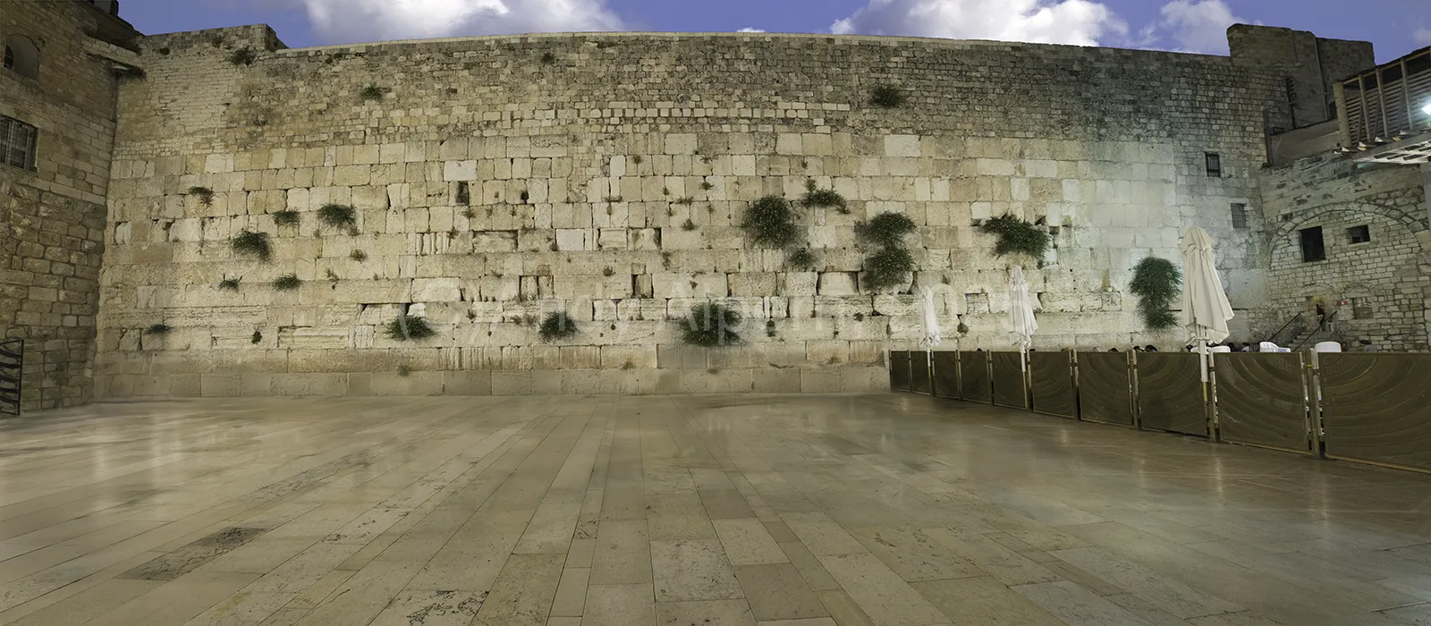 Kotel Western Wall Jerusalem Sukkah Mural Buy Online