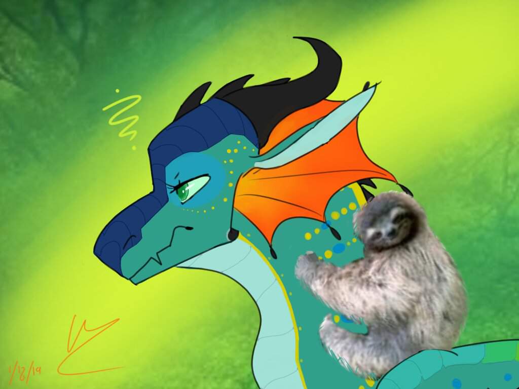 Queen Glory of the Rainwings. Wings Of Fire WOF Amino