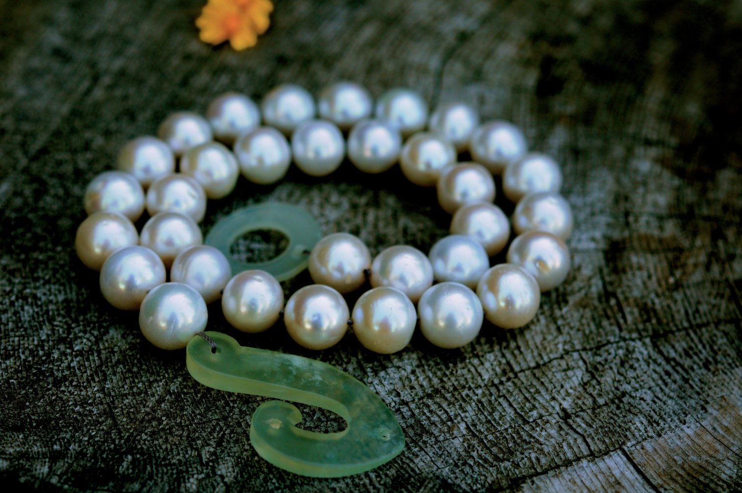 Wallpaper Beautiful Pearl Jewellery Wallpaper Jewel Fashion Jewelry Custom Mural Wallpaper Black Jewel