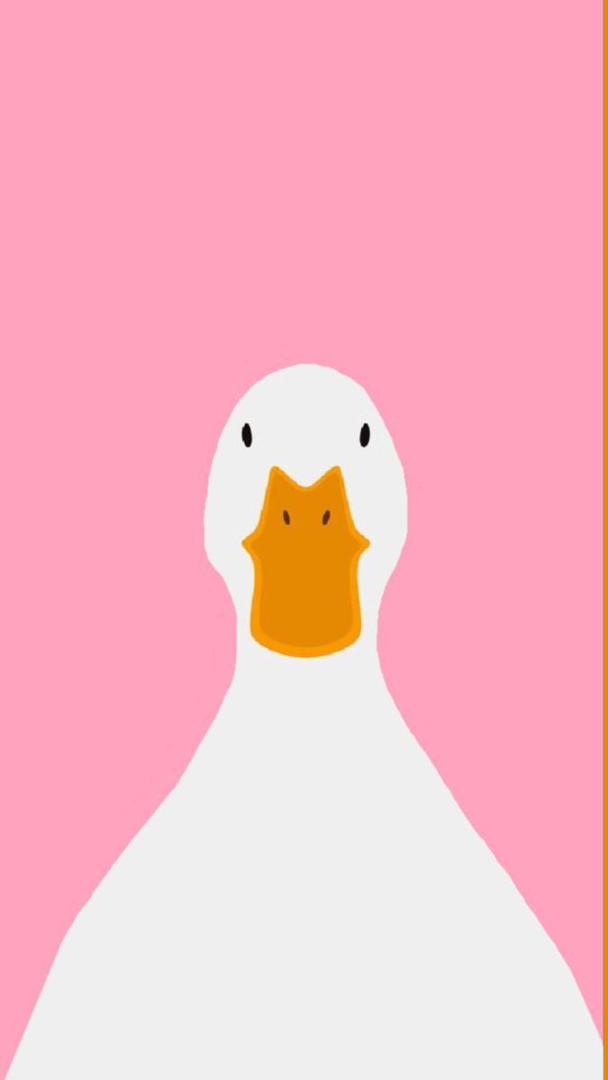 Funny White Duck with Orange Beak
