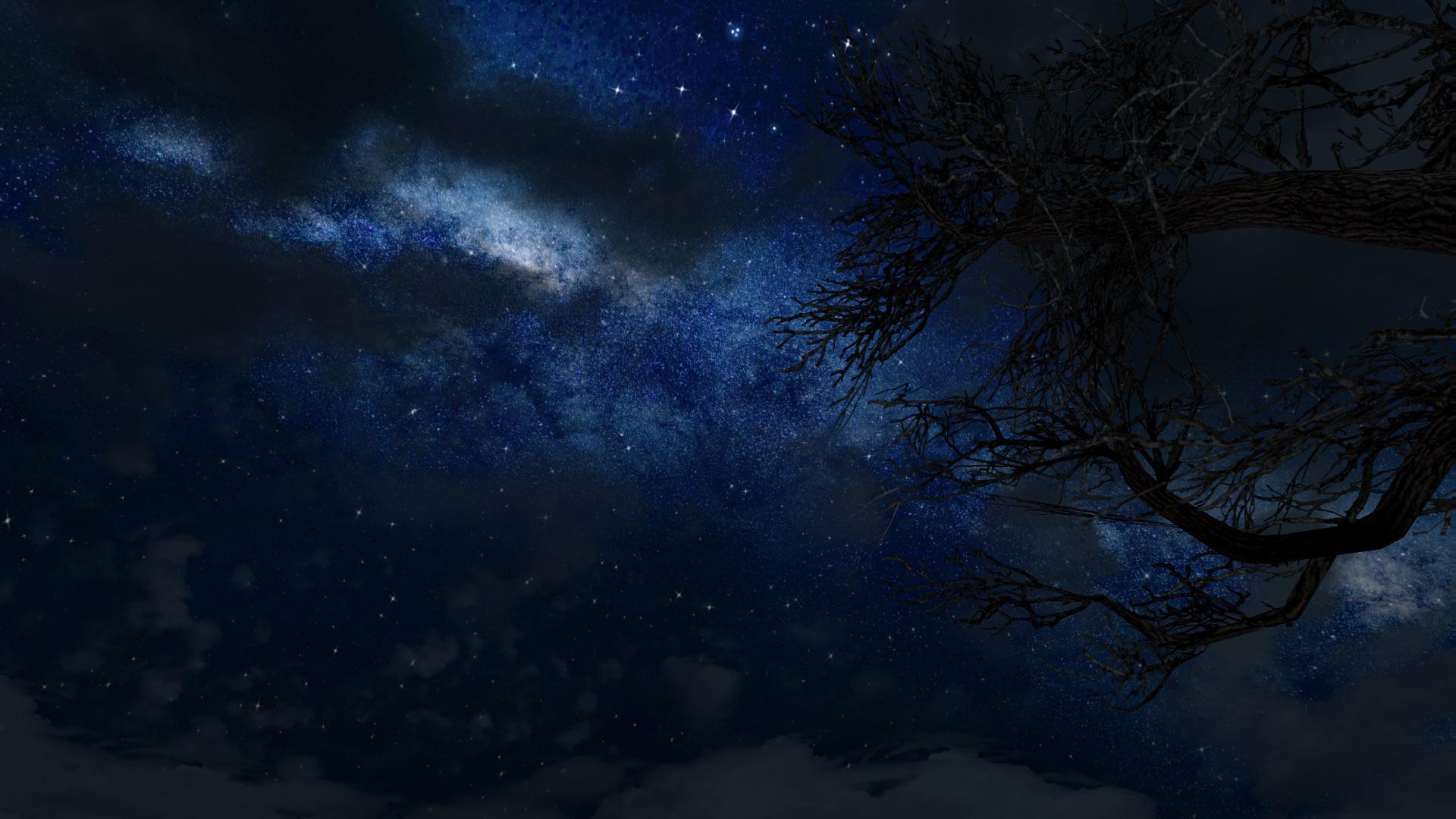 Cathedral Night Skies Lore (4k)