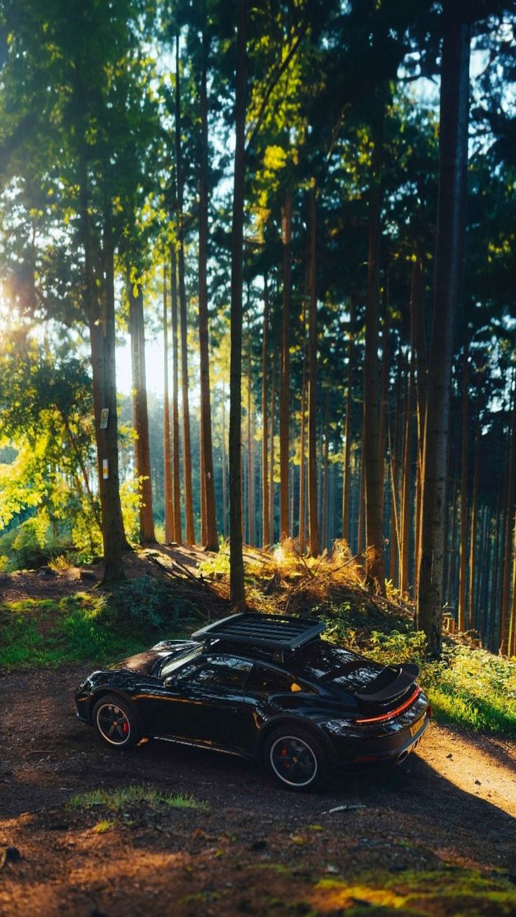 Wallpaper porsche 911, porsche, car, black, trees, forest, nature, Cars 4K by ♤CRISTIAN♧¿. Download wallpaper porsche 911, porsche, car, black, trees, forest, nature for free