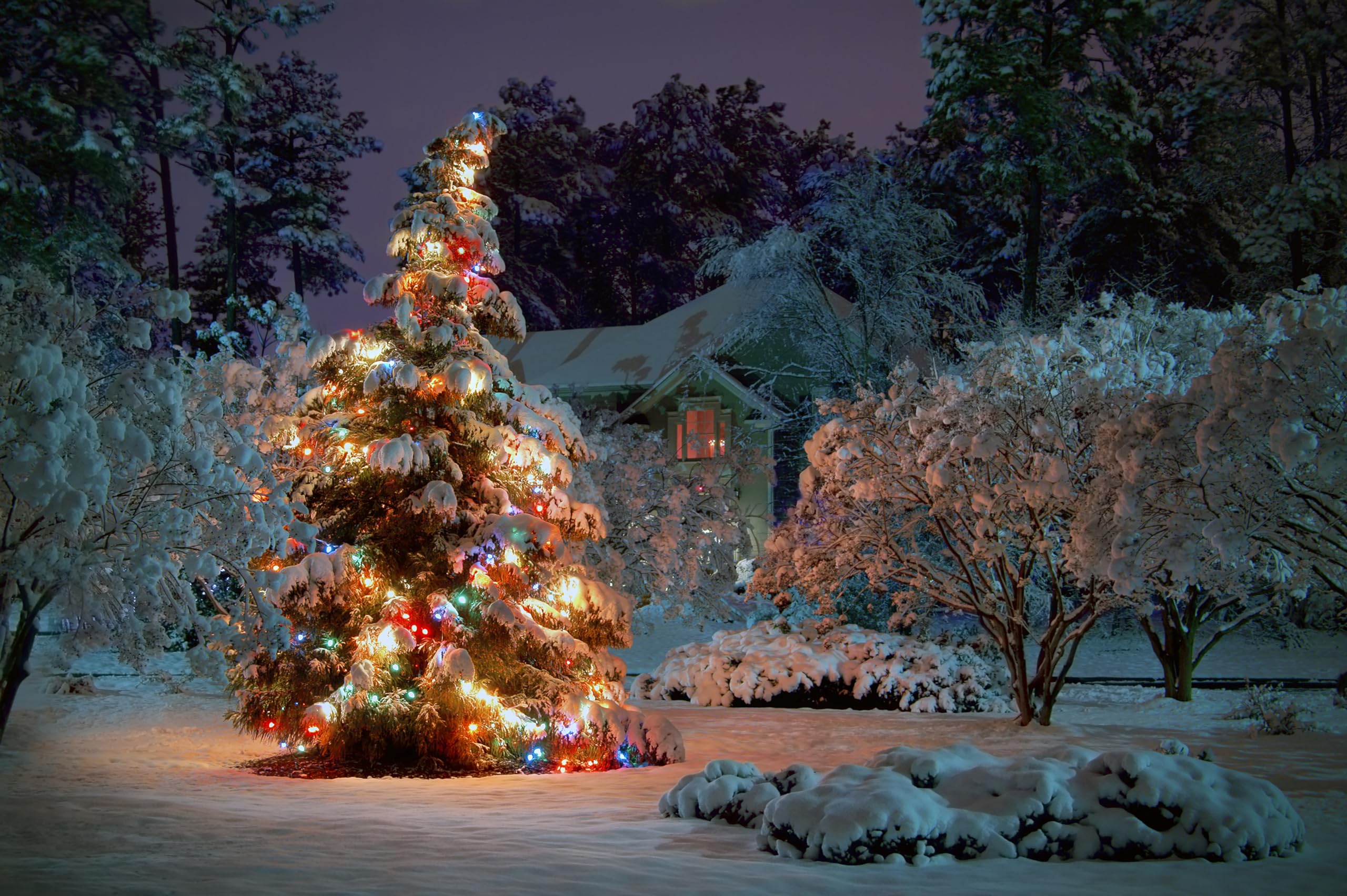 Amazon.com, CHNYWORK 7ftx5ft Winter Christmas Tree Backdrop Christmas Tree with Colorful Lights House Outdoor Winter Night View Background Christmas Xmas Holiday Party Decor Portrait Studio Photo Booth Props
