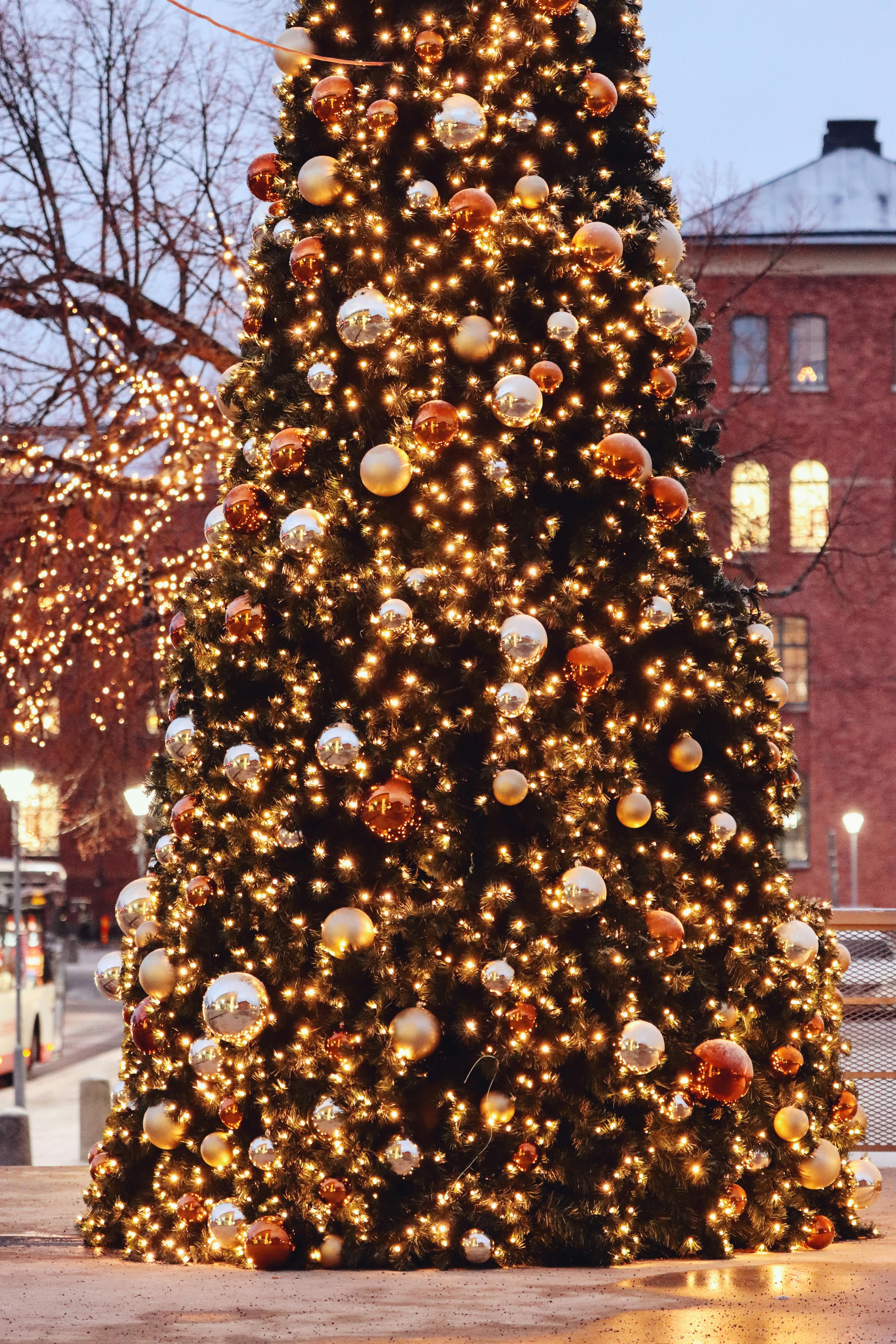 A Decorated Christmas Tree Standing Outside in City · Free