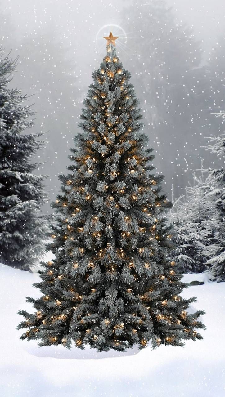 Christmas Tree wallpaper