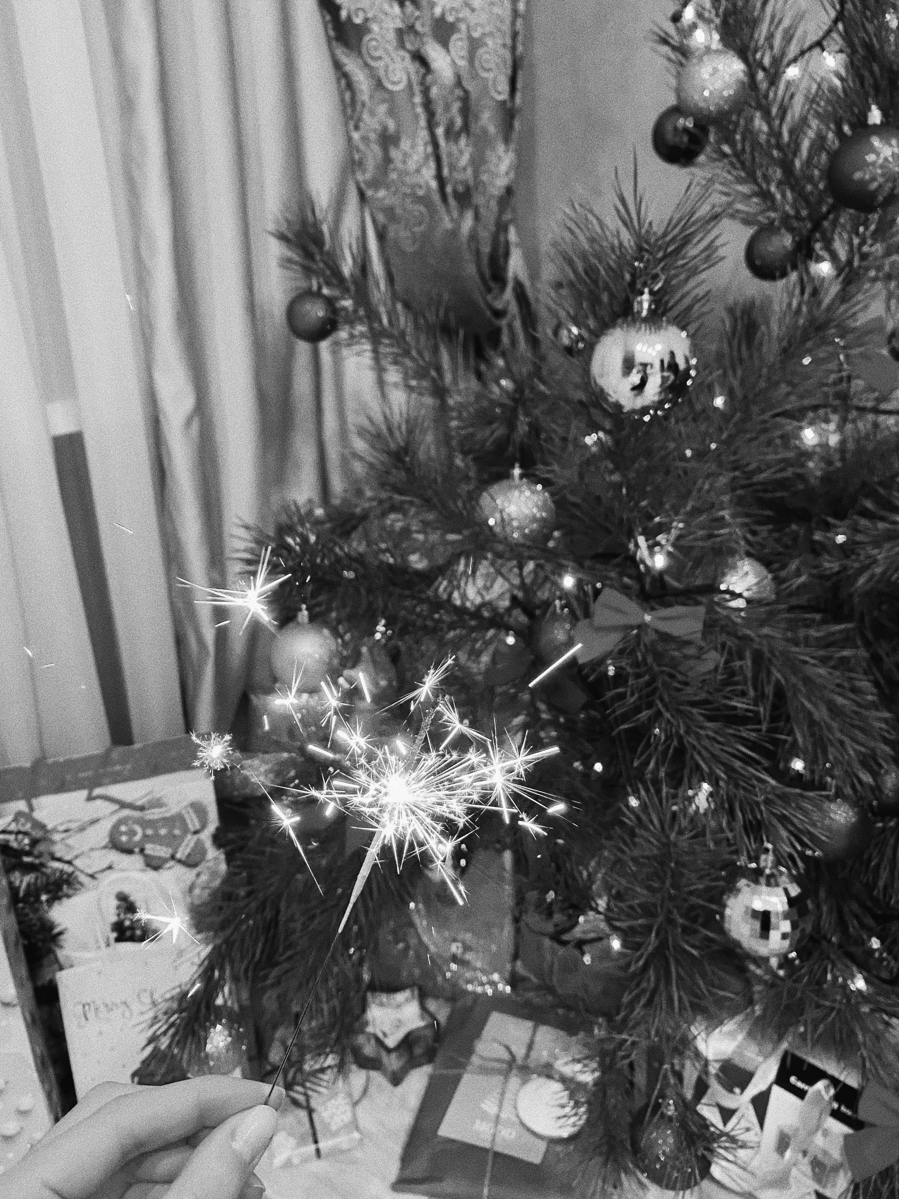 Wallpaper Christmas Tree, Christmas Day, Black and White, Christmas Decoration, Fir, Background Free Image