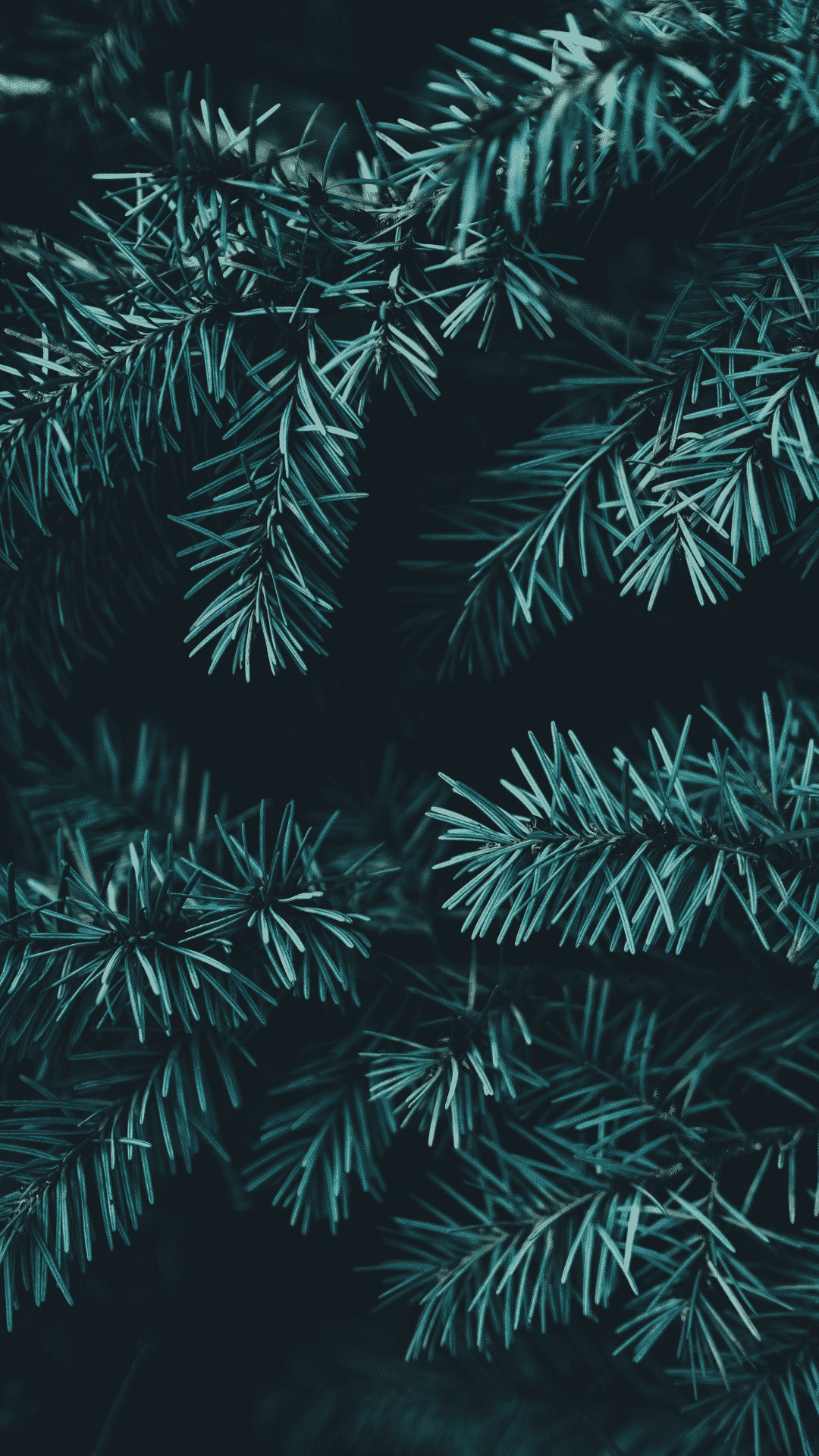 FREE Aesthetic Christmas Wallpaper For A Festive Phone