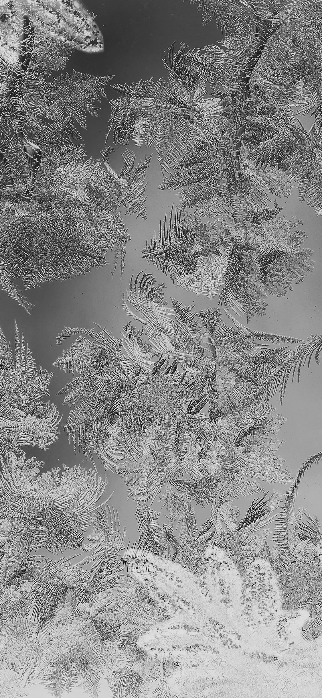iPhone X wallpaper. ice pattern black snow nauture christmas