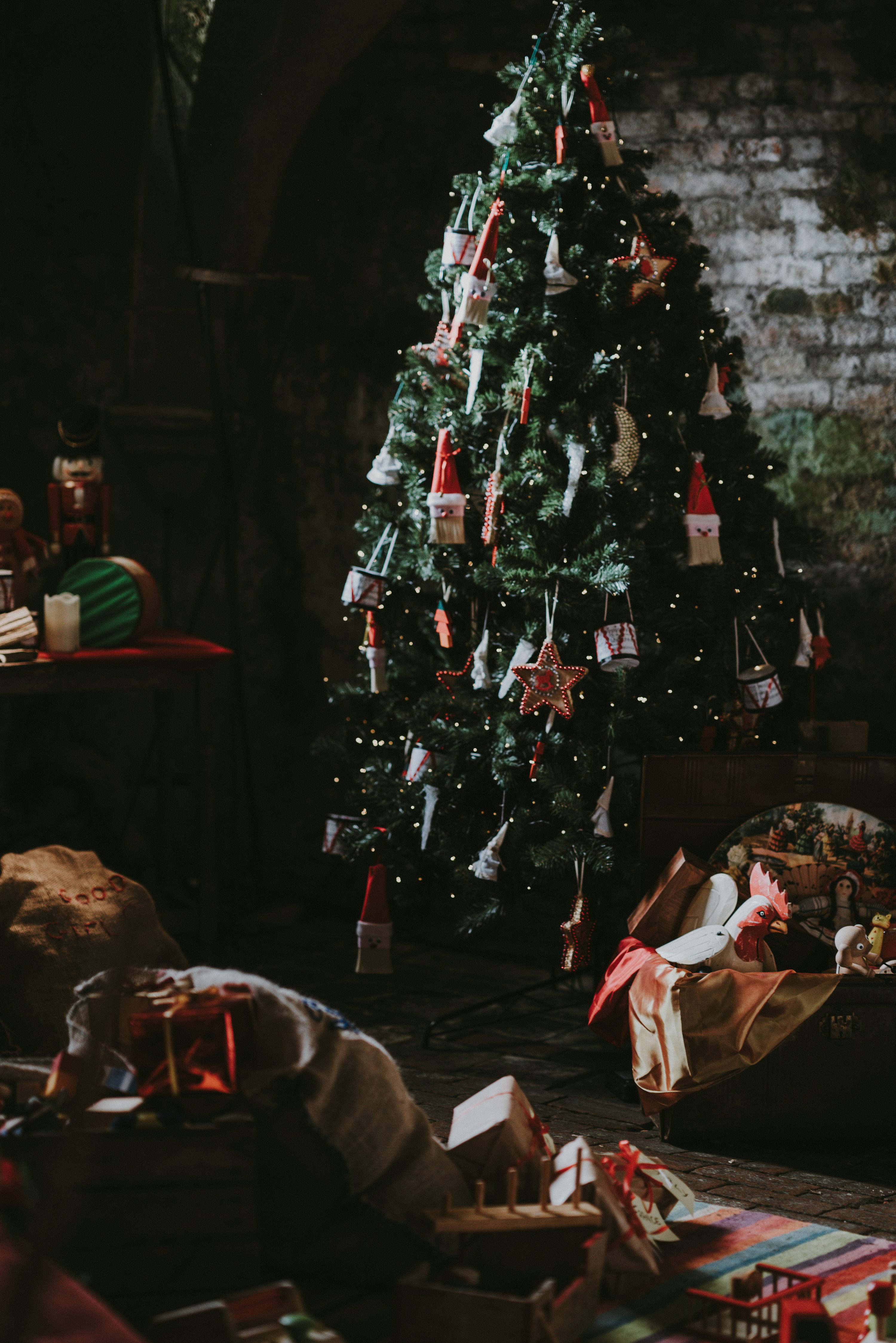Christmas Tree Picture [4K]. Download Free Image