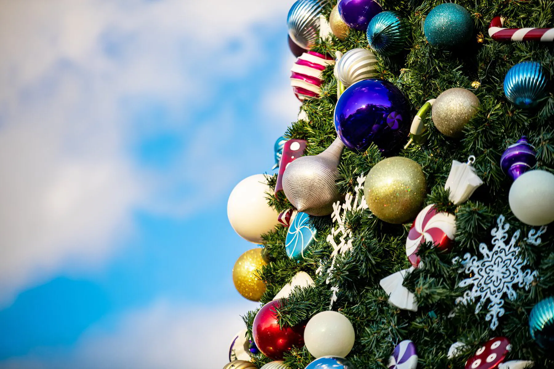 Commercial Grade Outdoor Christmas Trees