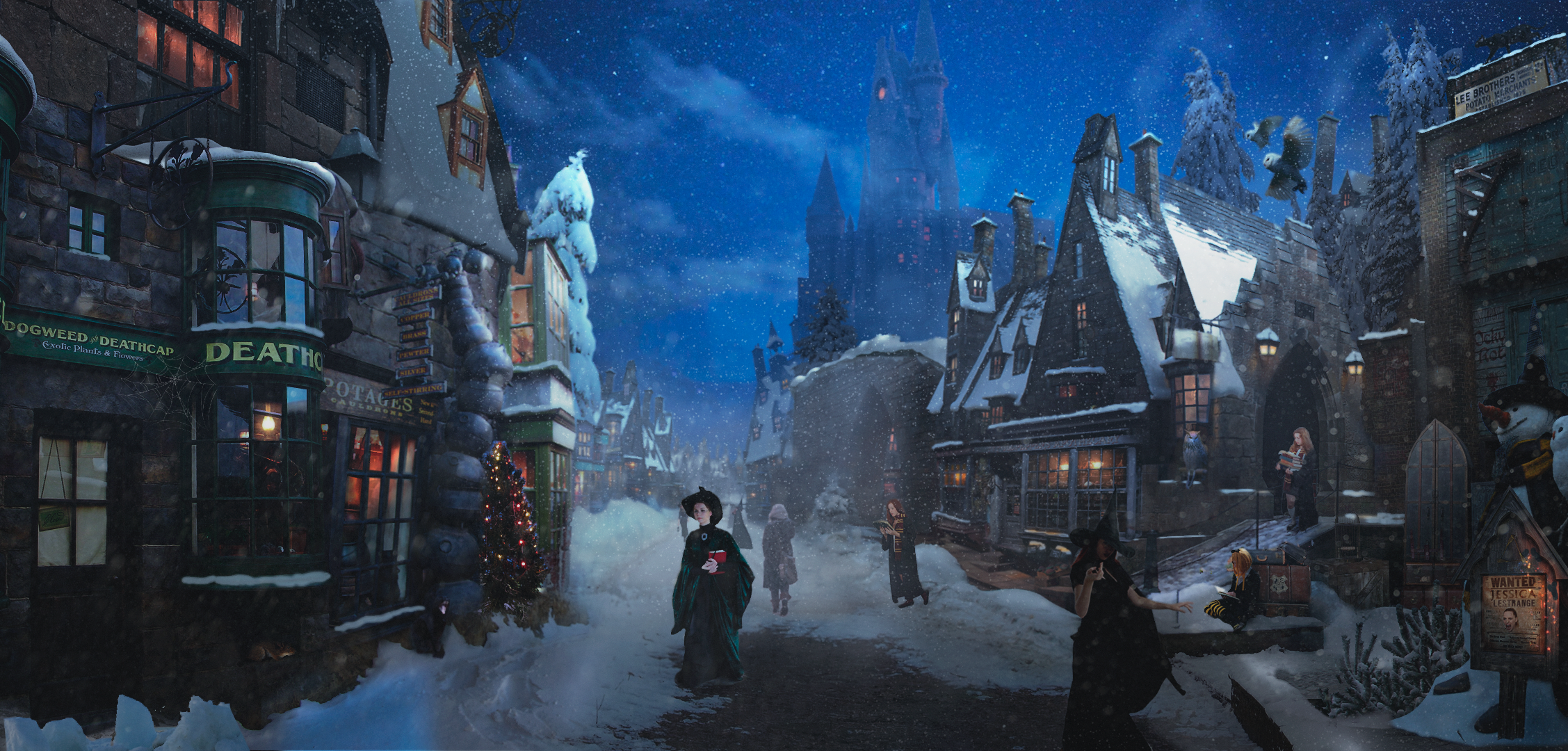 Hogsmeade before Christmas