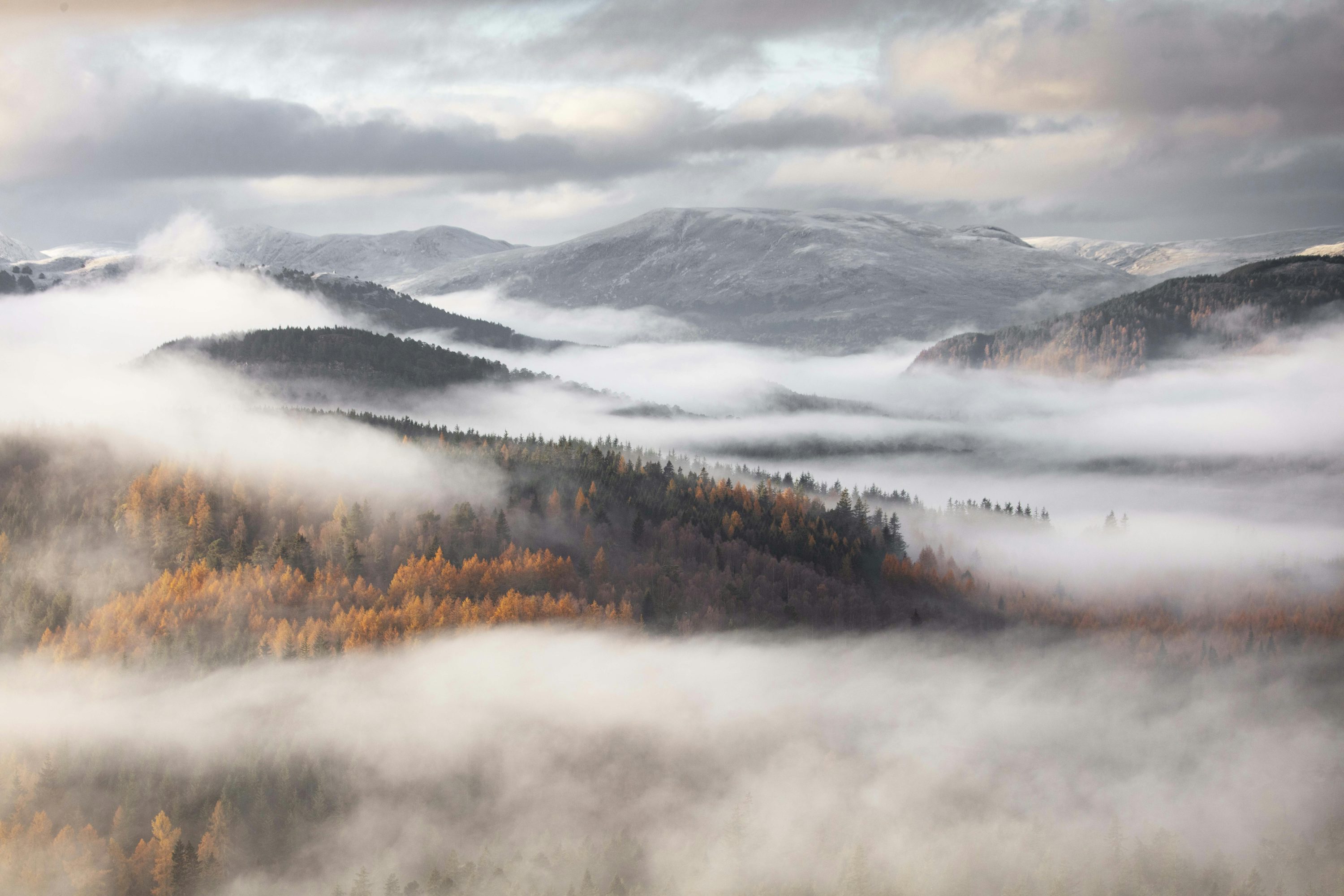 Autumn Fog Picture. Download Free Image