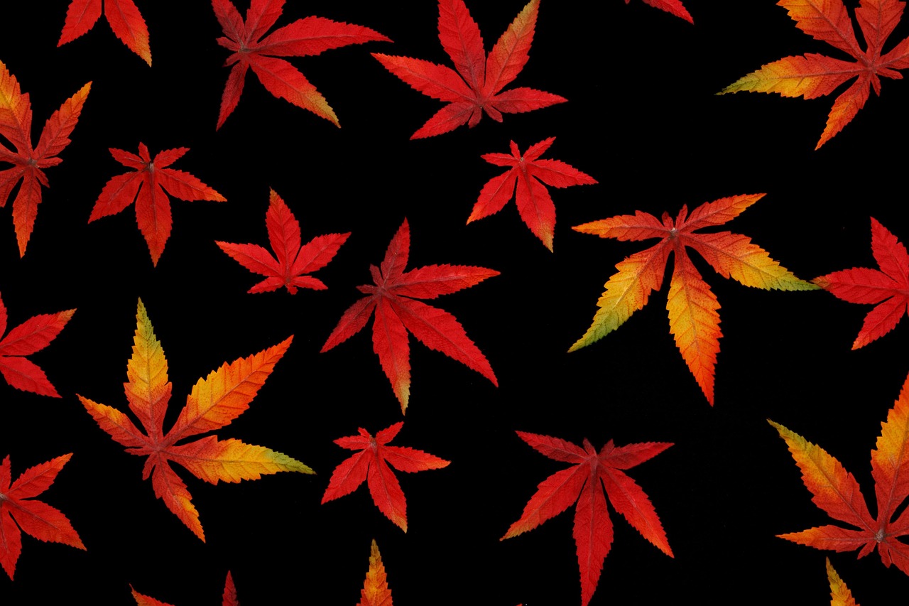 Abstract Autumn Background