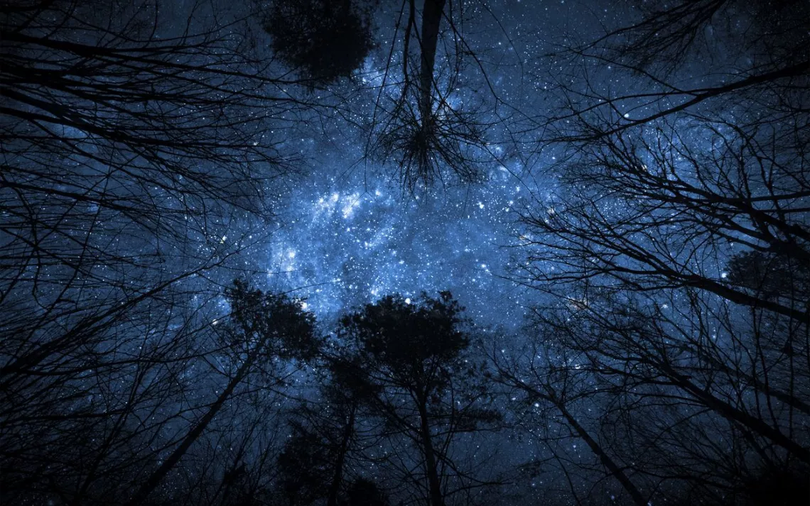 December Observing Highlight: Dark Winter Skies And Bright Shining Stars