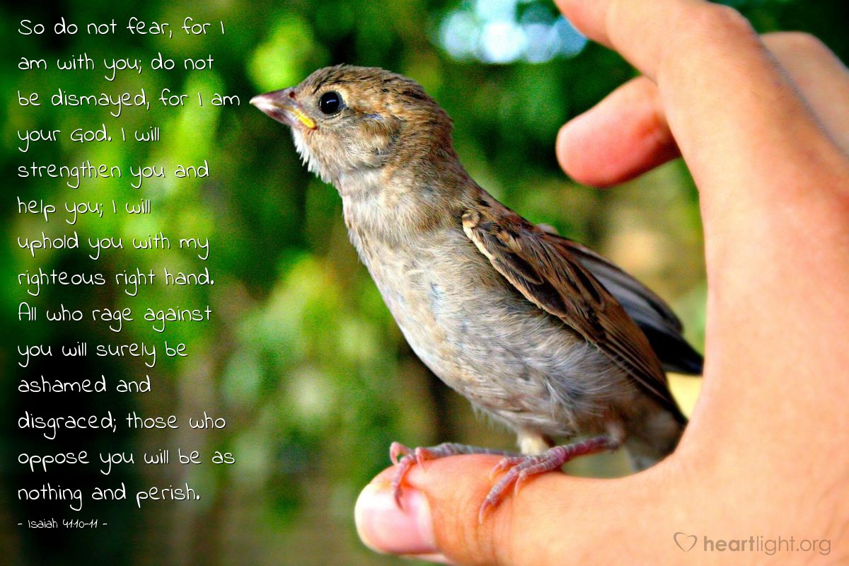 Isaiah 41:10 11 Illustrated: All Who Rage Against You Will Surely