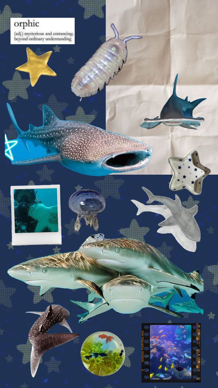 Shark background, Shark, Sea and ocean