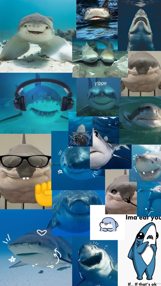 Shark core wallpaper