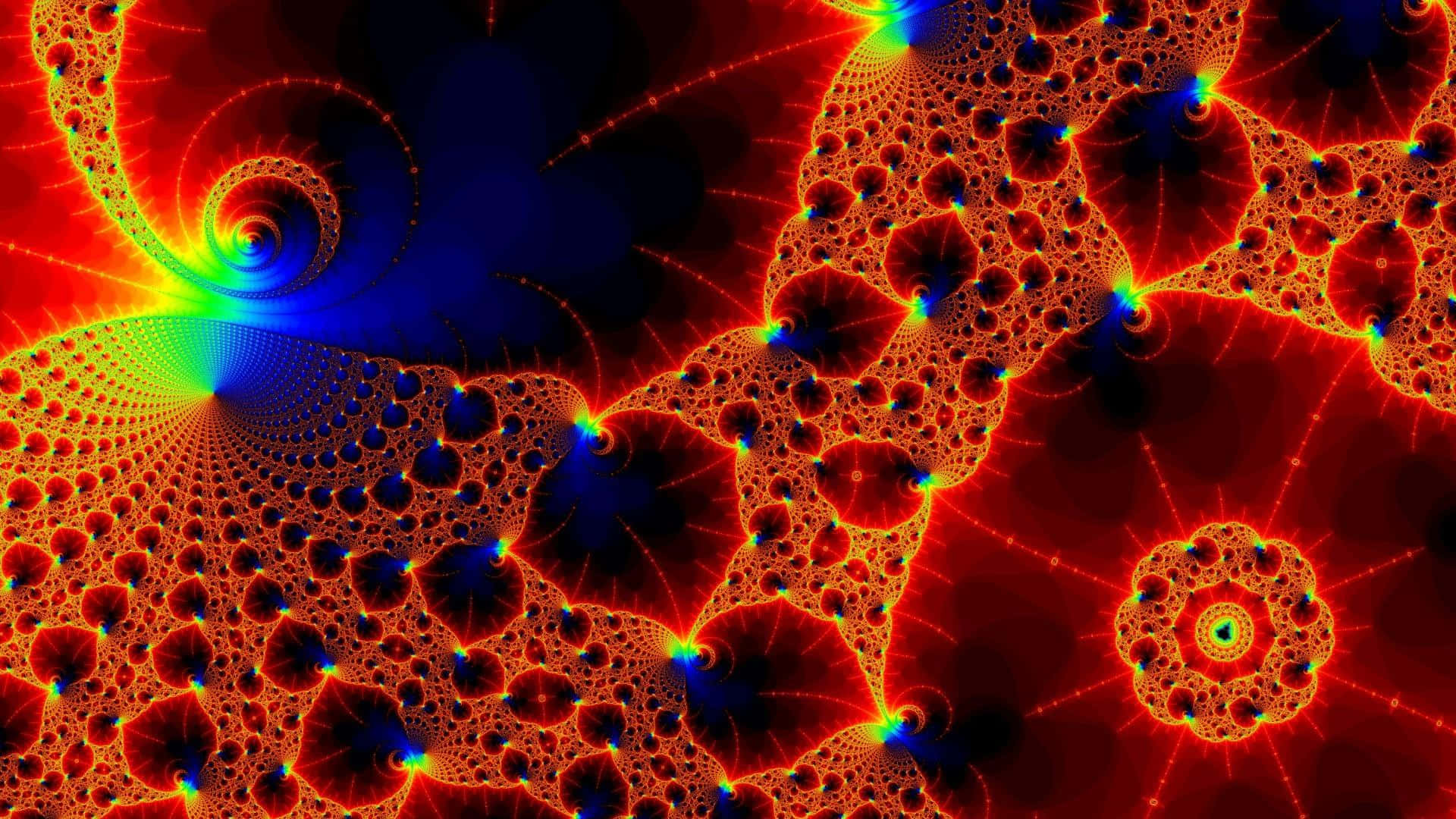 Trippy Fractals Wallpaper