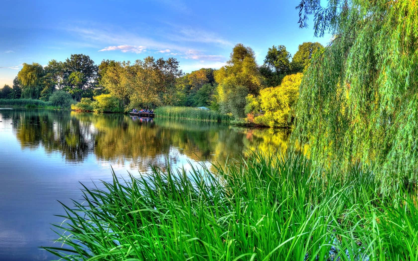 Spring River Wallpaper