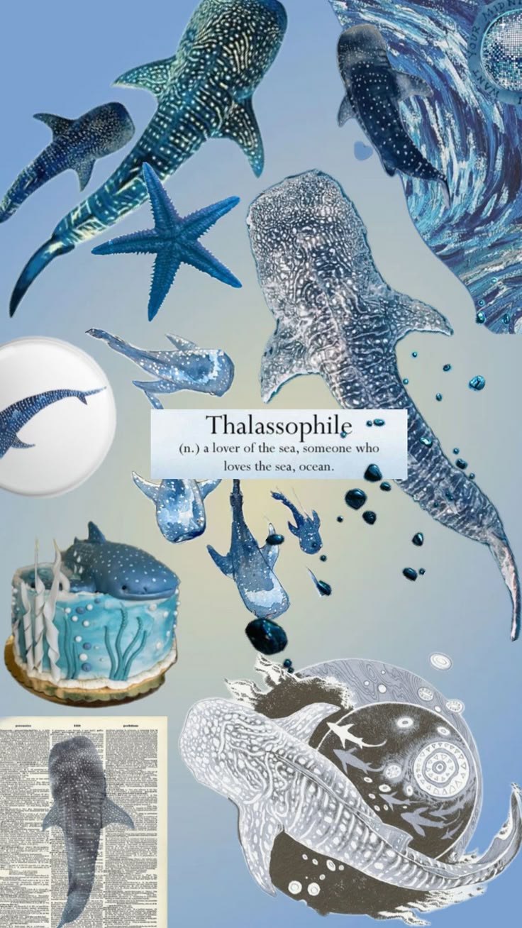 Whale shark core #whaleshark #oceanaesthetic. Shark background, Beautiful sea