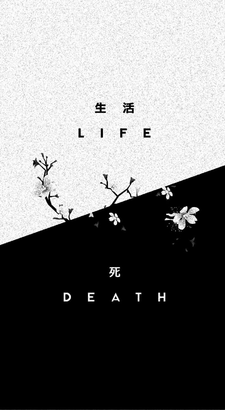 Vida y Muerte complemental