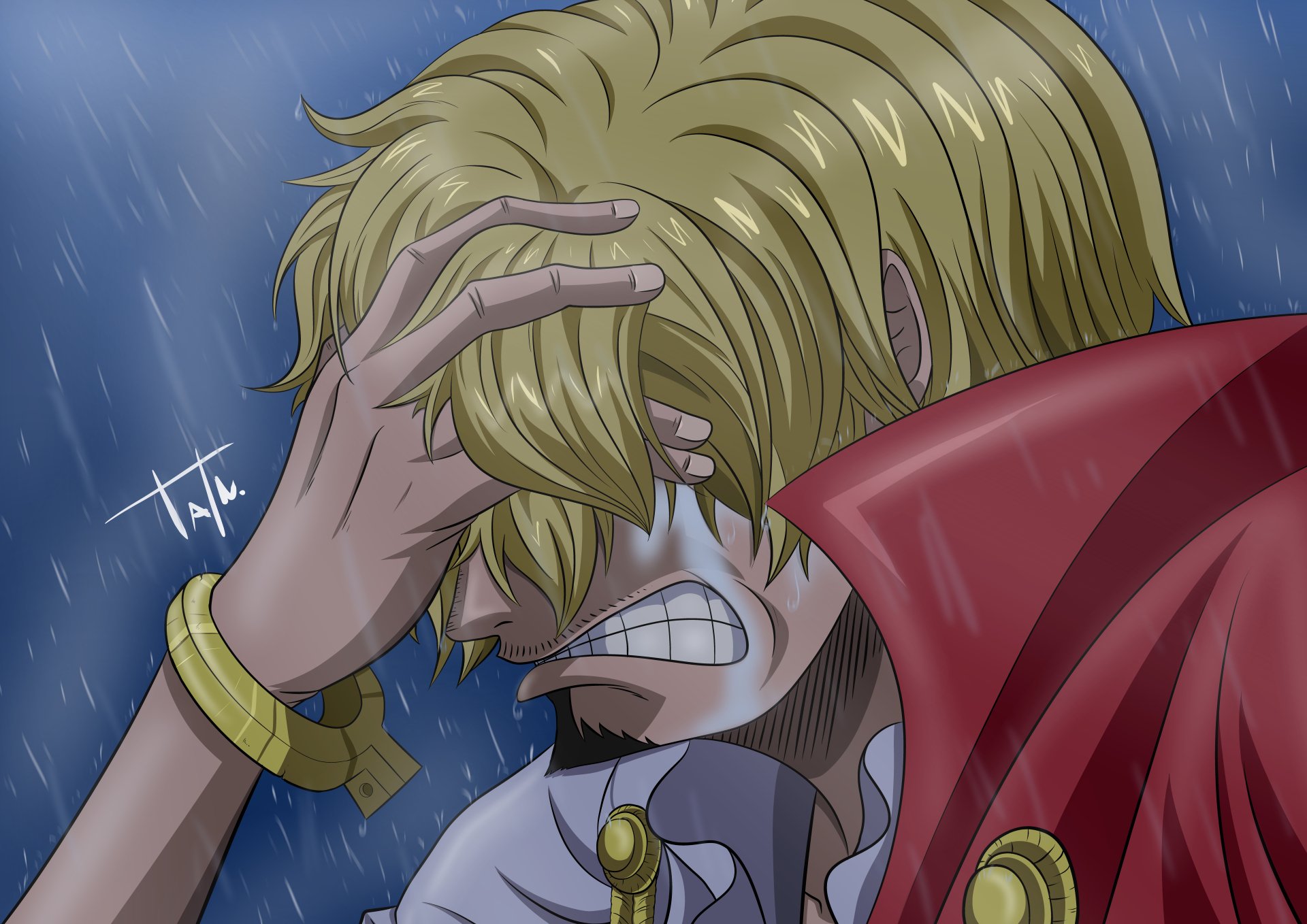 Sanji Whole Cake / One Piece