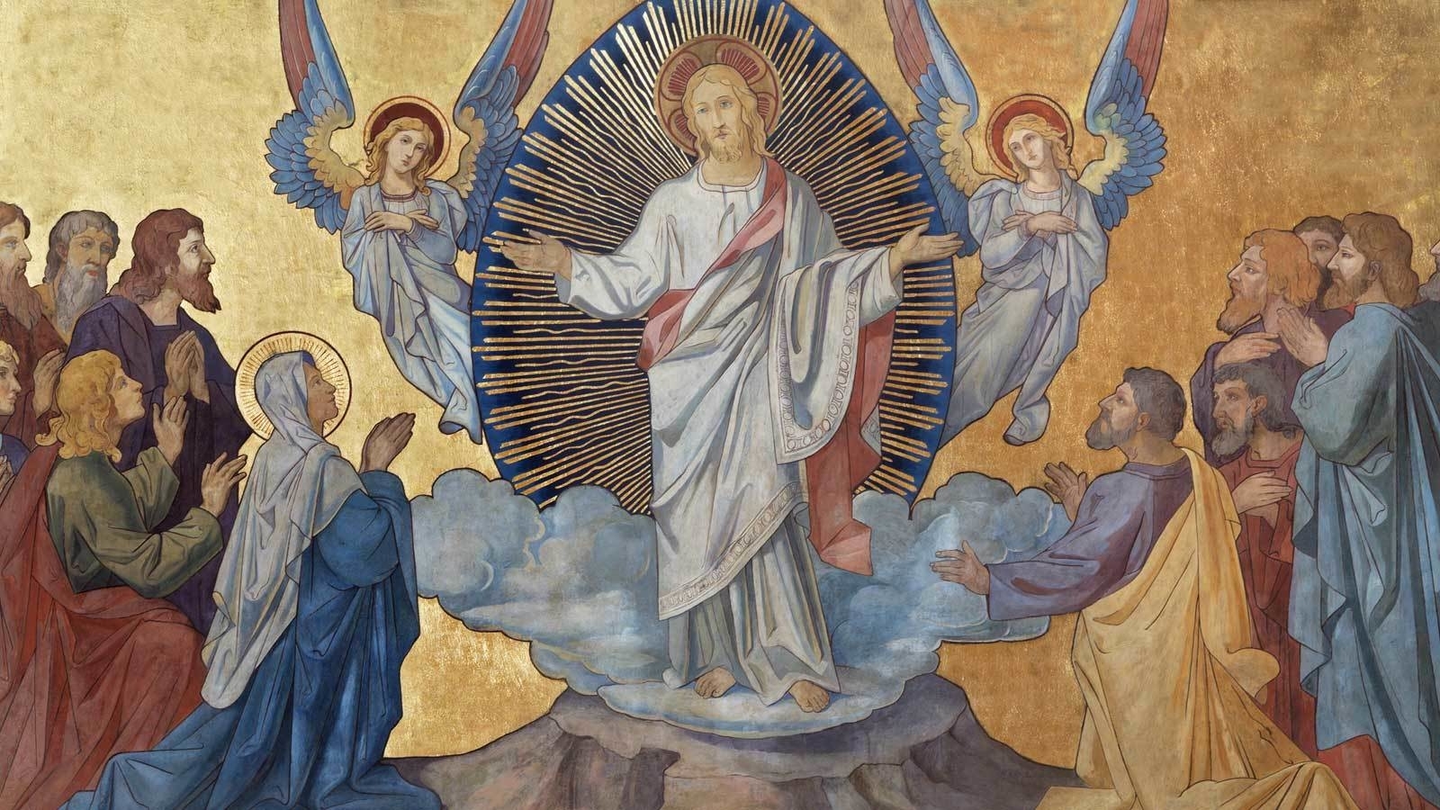 America Needs Fatima