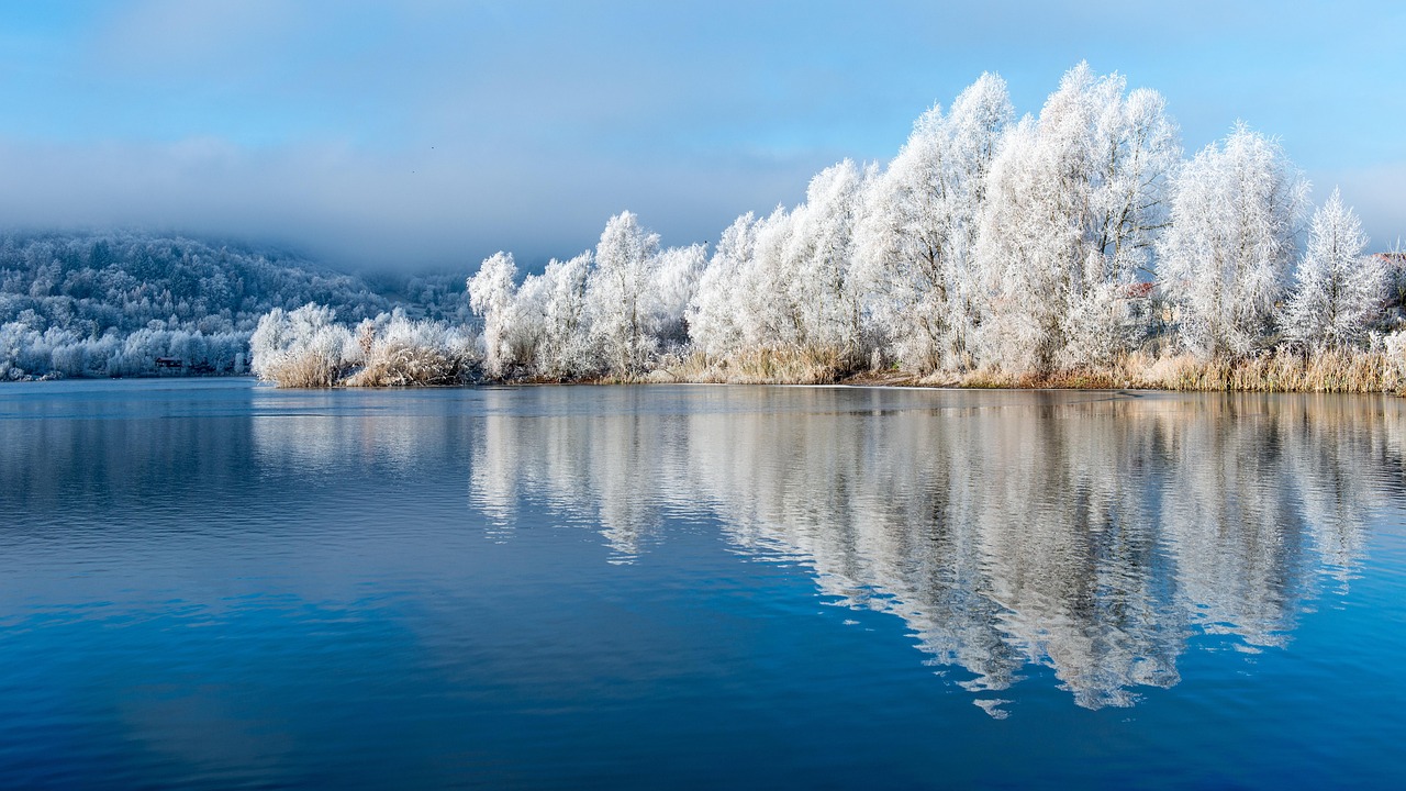 Winter Lake Landscape