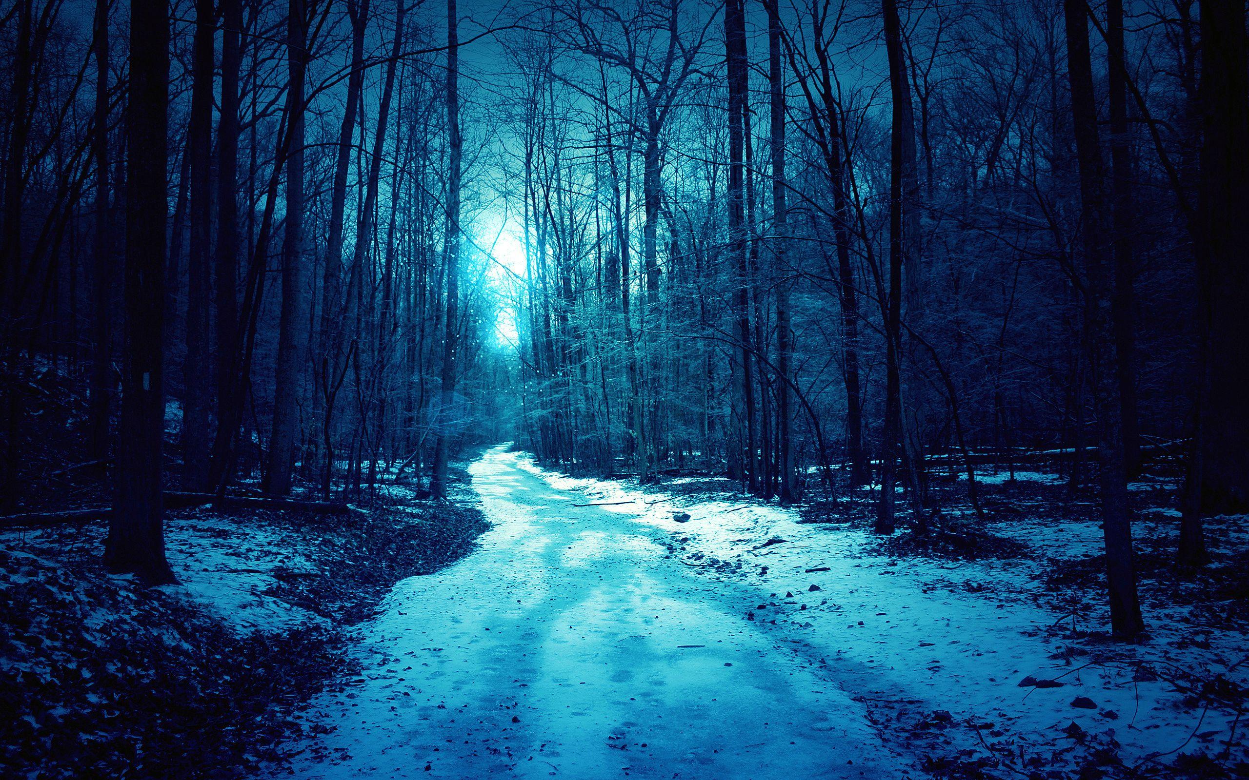 Winter Night HD desktop wallpaper Mobile Dual Monitor