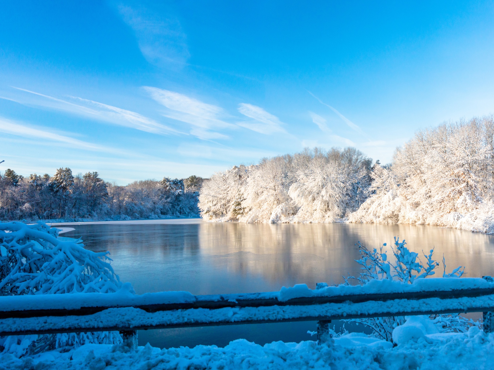 Frozen Lake With Frost Covered Trees On The Shore In Winter Desktop Wallpaper 1600x1200