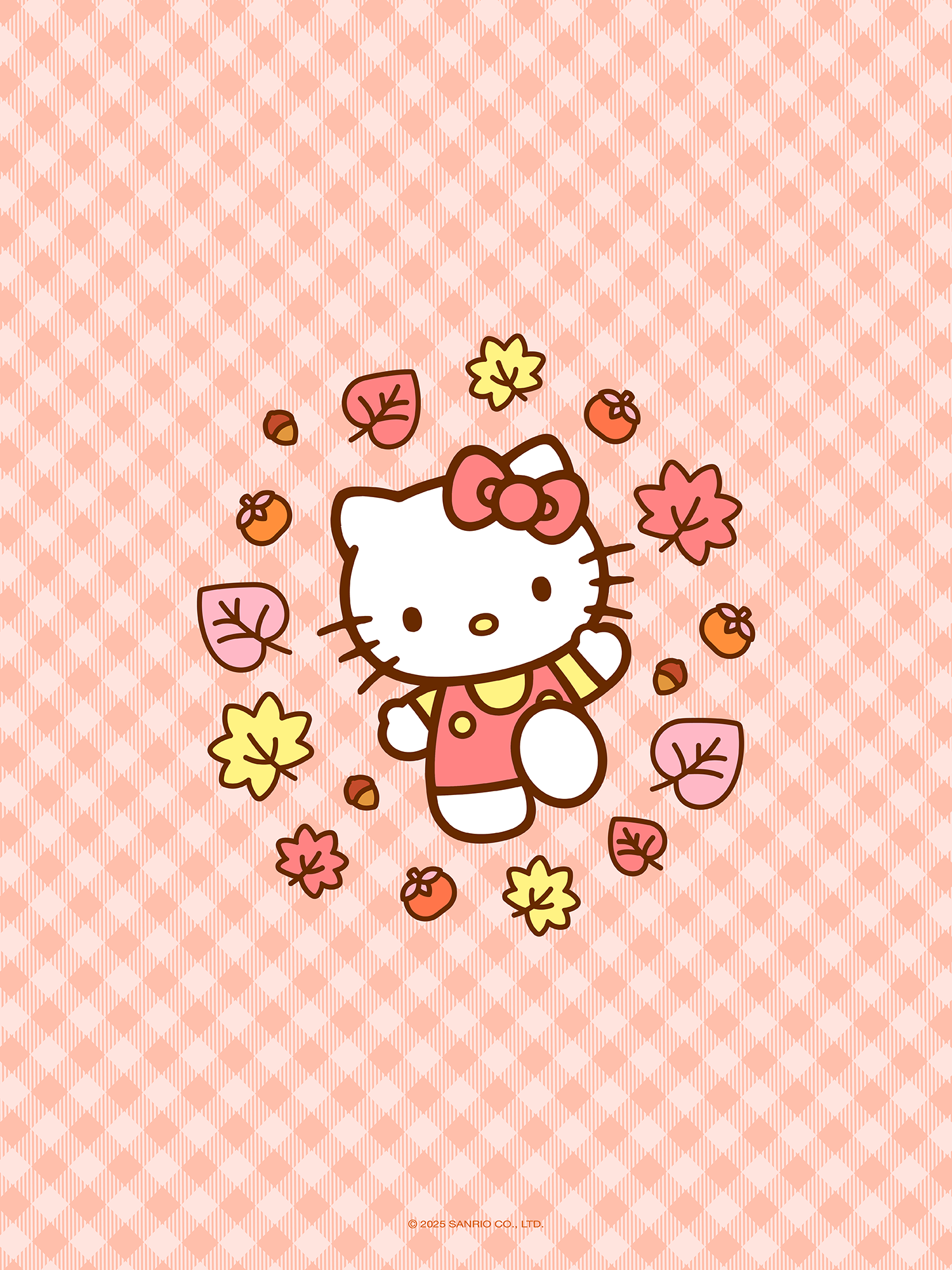2025 Sanrio Character Wallpaper