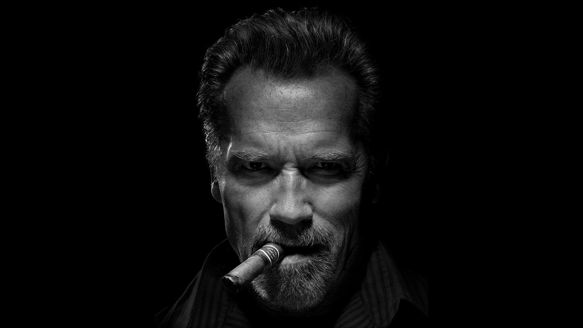 Desktop wallpaper: Arnold Schwarzenegger, Cigar, Actor, Celebrity, American, Black & White, Face 4K free download for PC. 777293