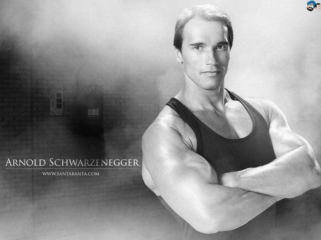 Arnold Schwarzenegger Wallpaper