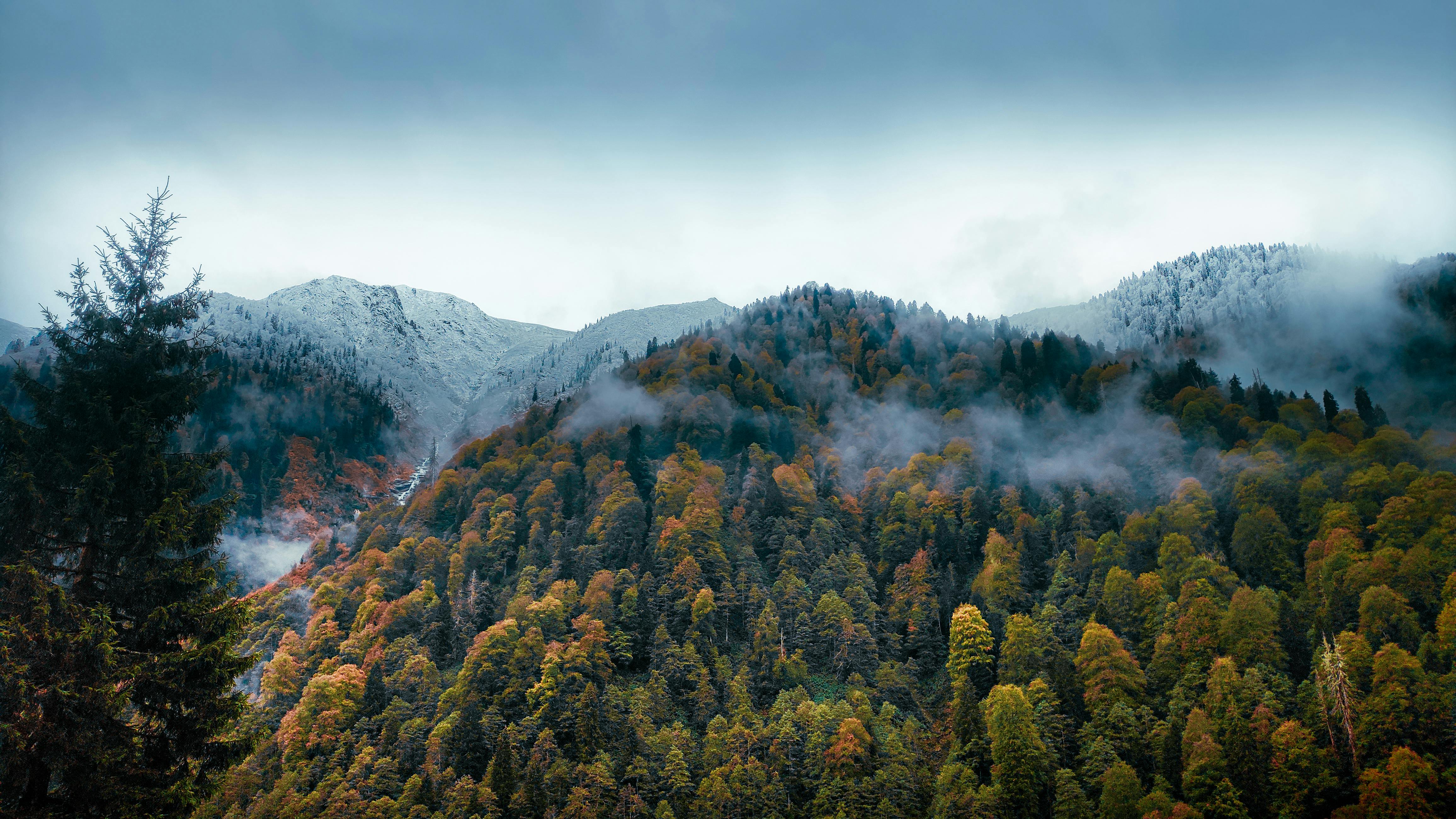 Foggy Autumn Landscape with Snowy Mountain · Free