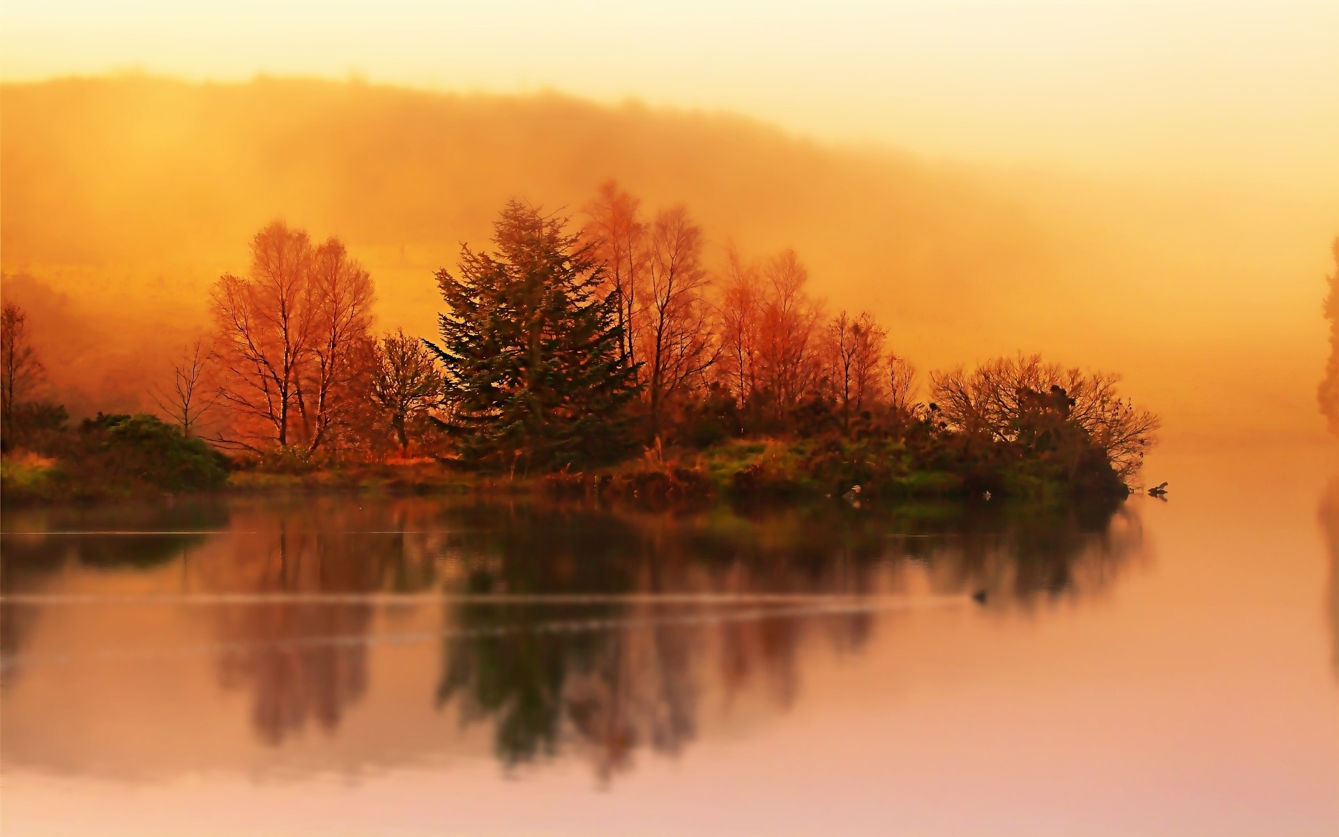 Desktop wallpaper: Fog, Earth, Fall, Bench, Forest, Lake, Landscape, Reflection, River, Scenic, Season, Tree 4K free download for PC. 547912