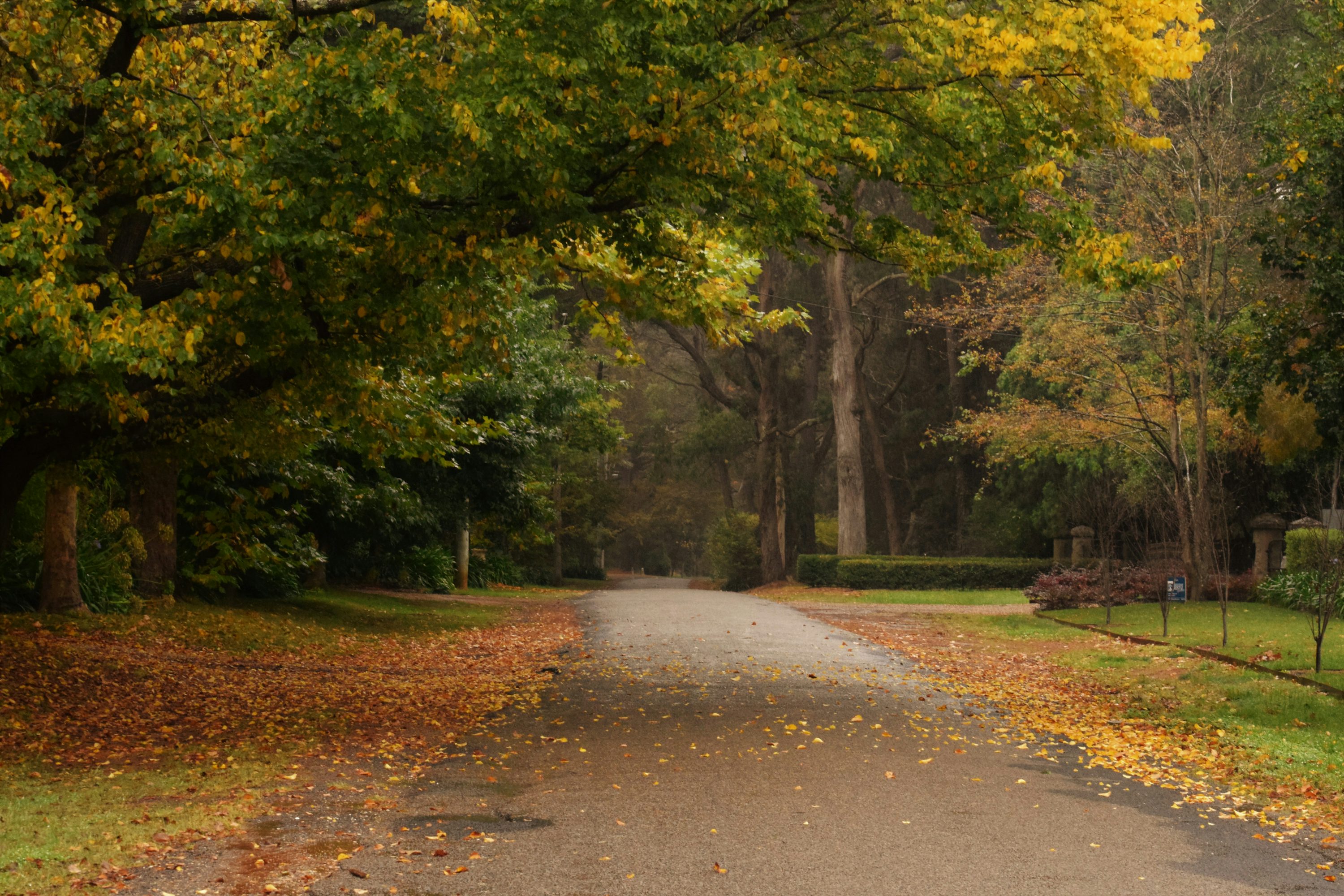 Autumn Rain Picture. Download Free Image