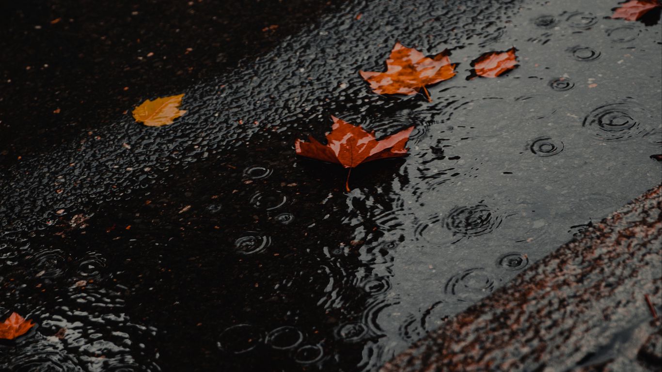 Download wallpaper 1366x768 puddle, foliage, rain, wet, asphalt tablet, laptop HD background