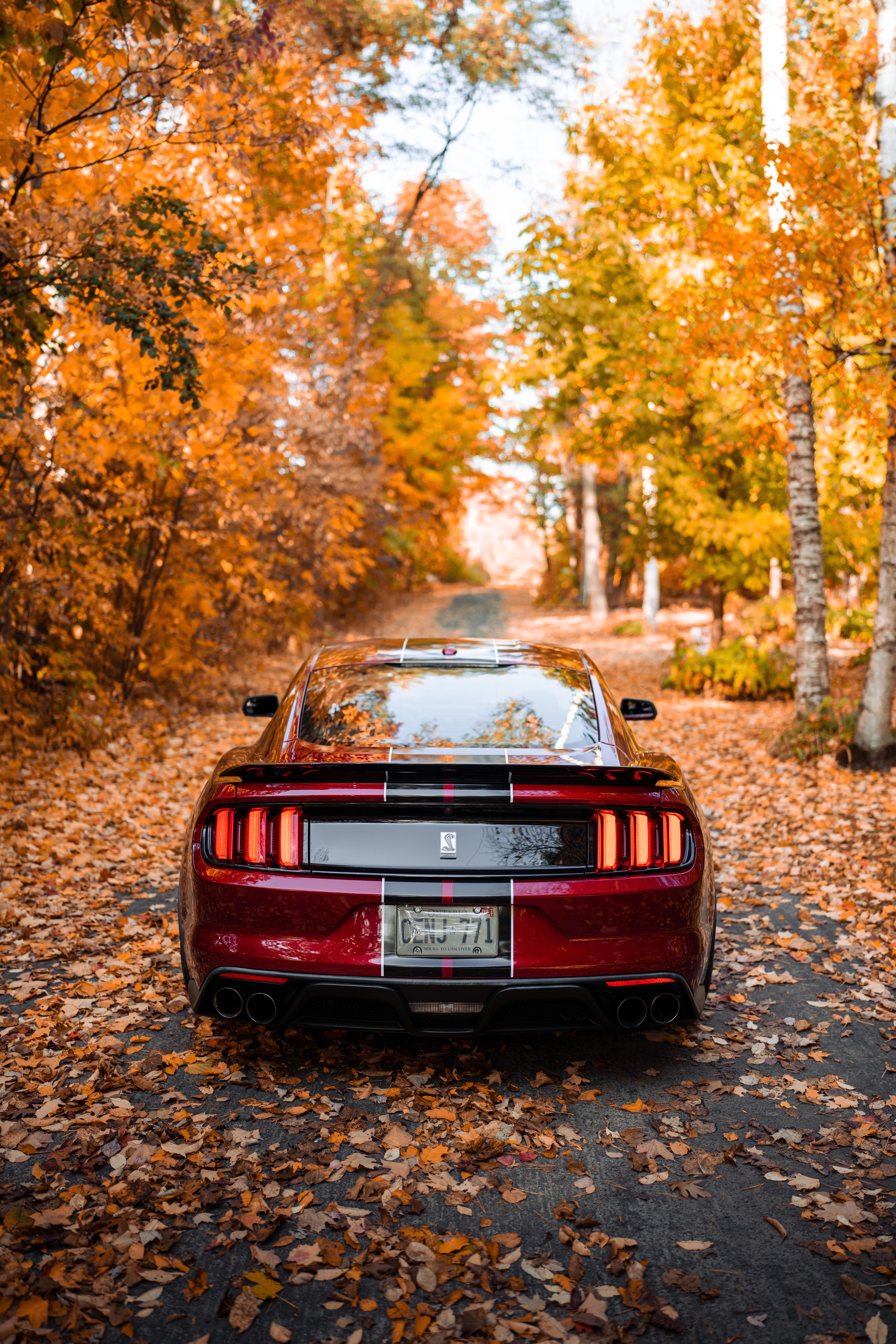 Last couple drives before the winter
