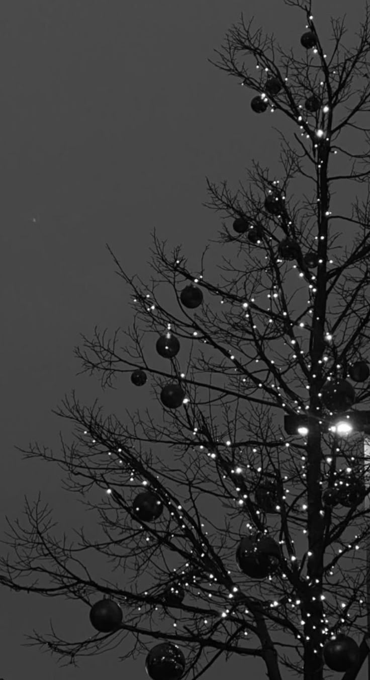 Phone background. Creepy christmas, Dark christmas, Gothic christmas aesthetic