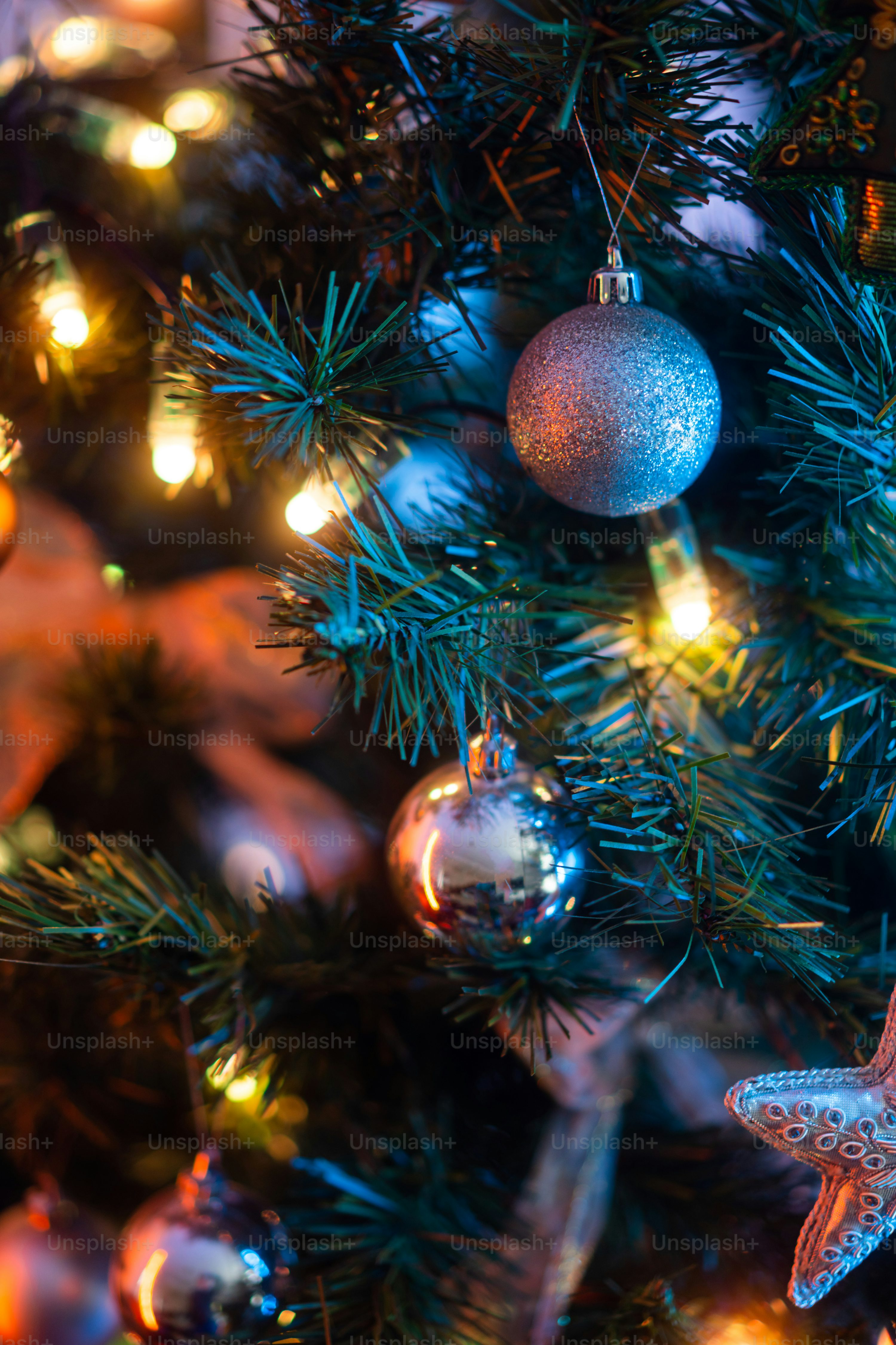 Winter Lights Picture. Download Free Image