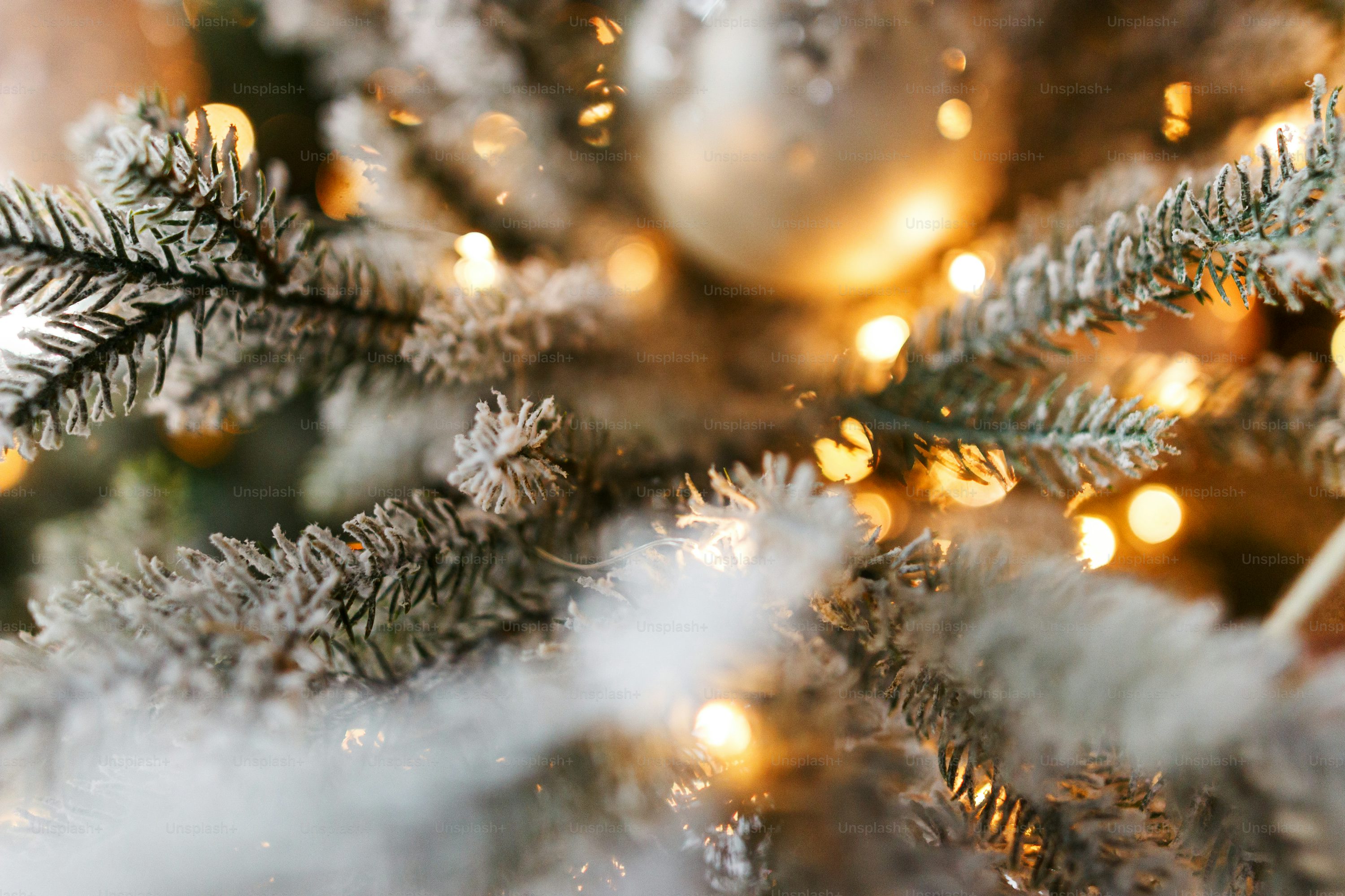Christmas Tree Snow Picture. Download Free Image