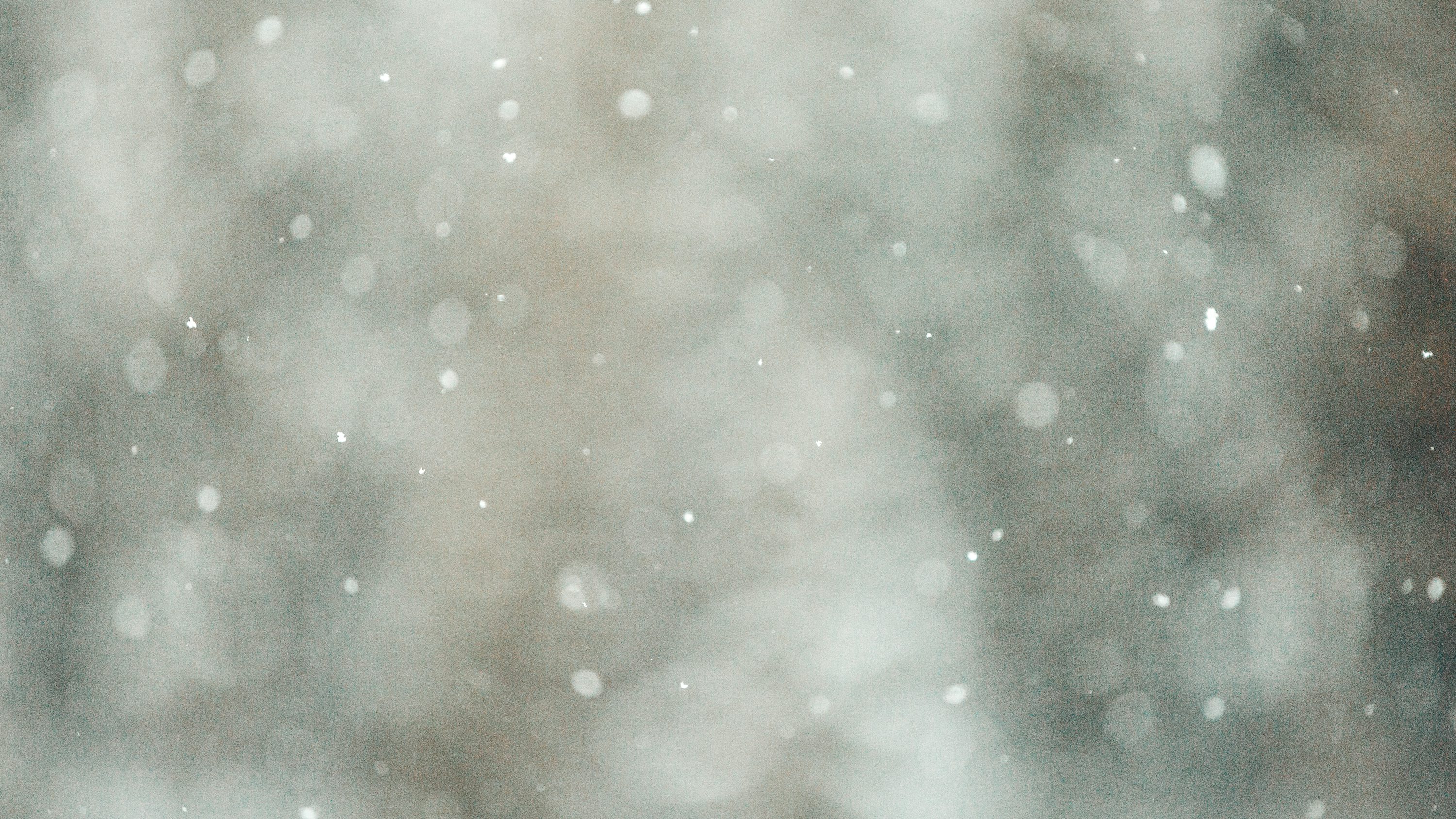 Winter Texture Picture. Download Free Image