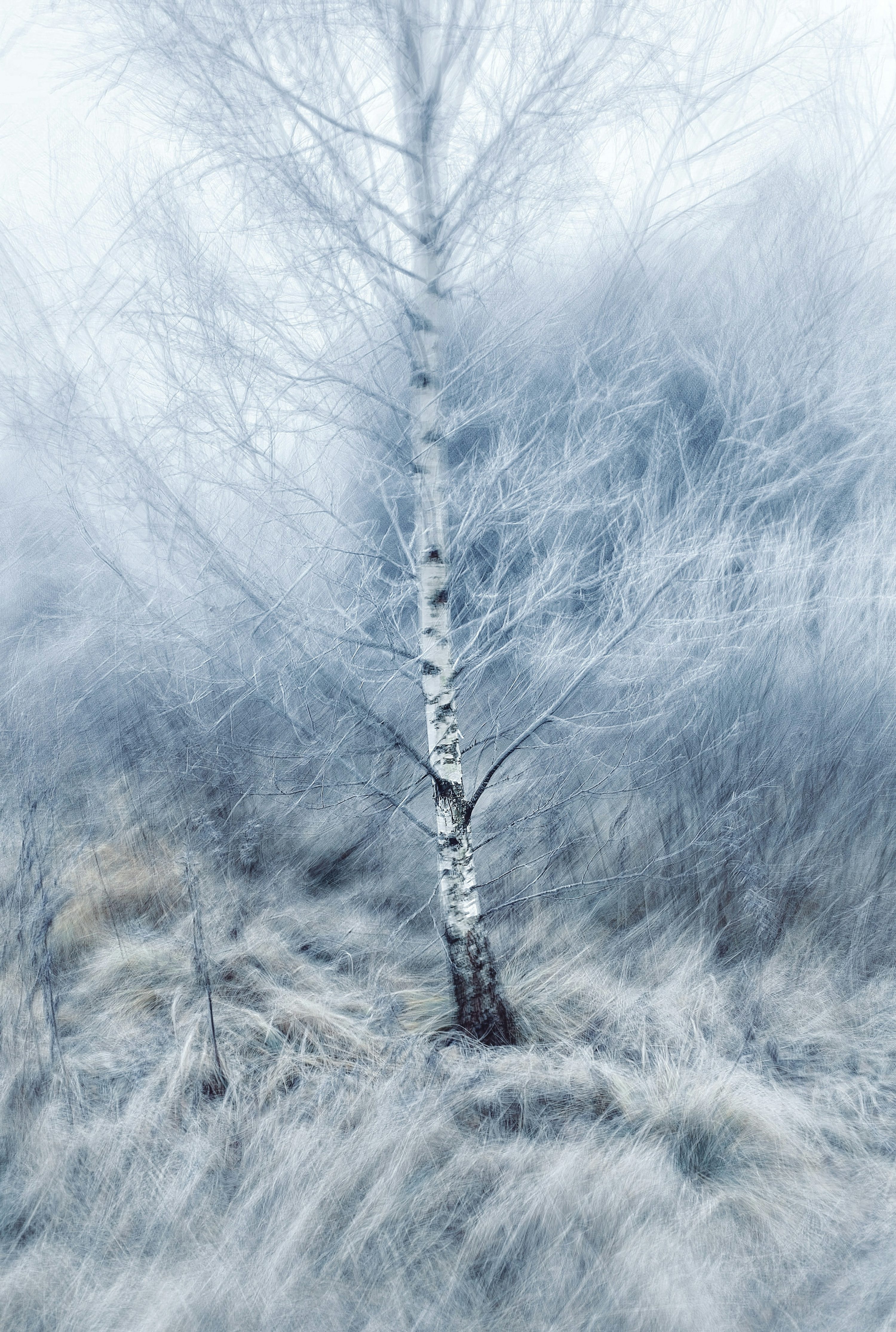 Winter Texture Picture. Download Free Image