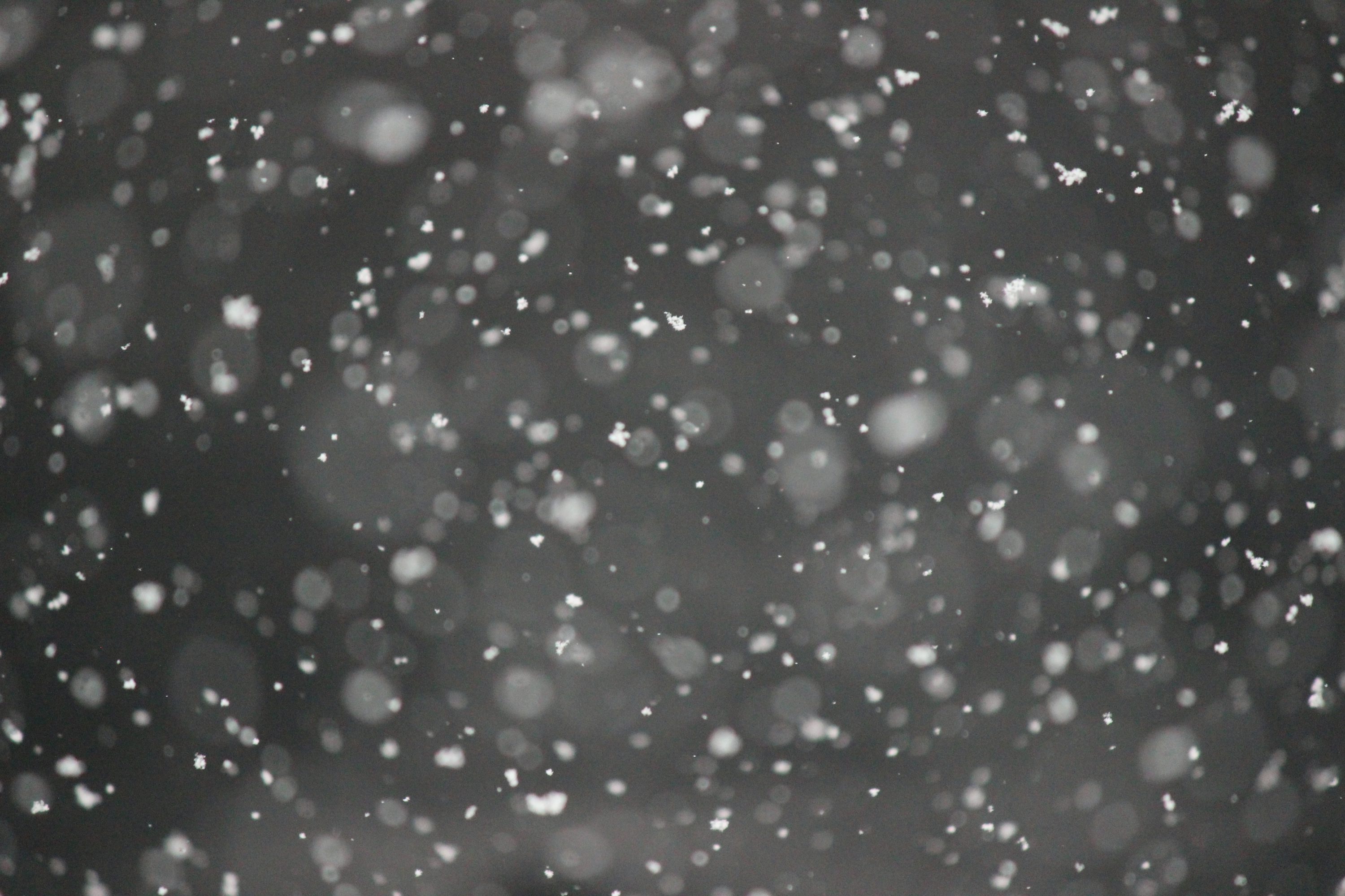 Winter Texture Picture. Download Free Image