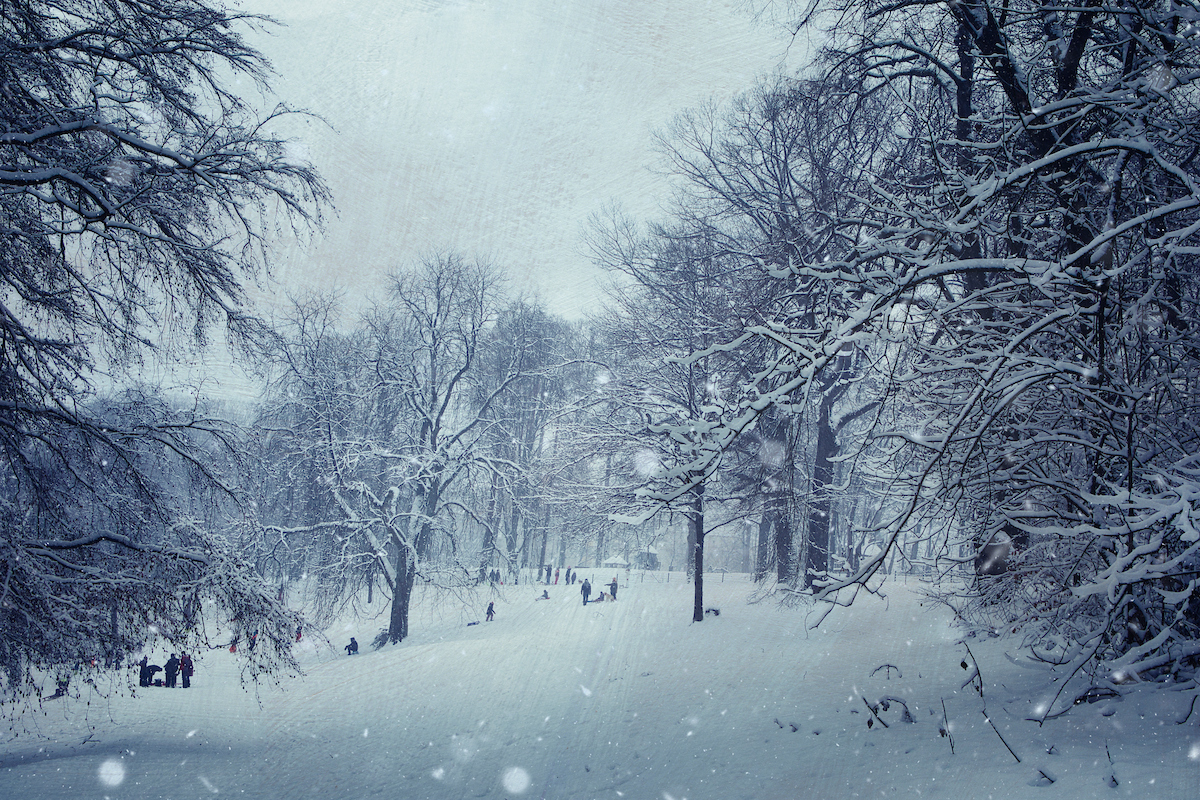 Winter Edit With Texture Overlays in Luminar Neo Including Two Free Textures