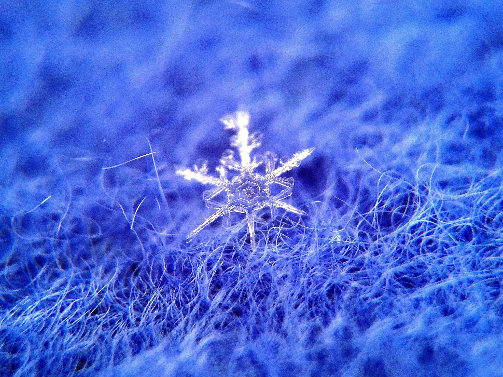 nature, Ice, Winter, Macro, Textures, Reflexions, Sculptures, Water, Art, Frozen Wallpaper HD / Desktop and Mobile Background