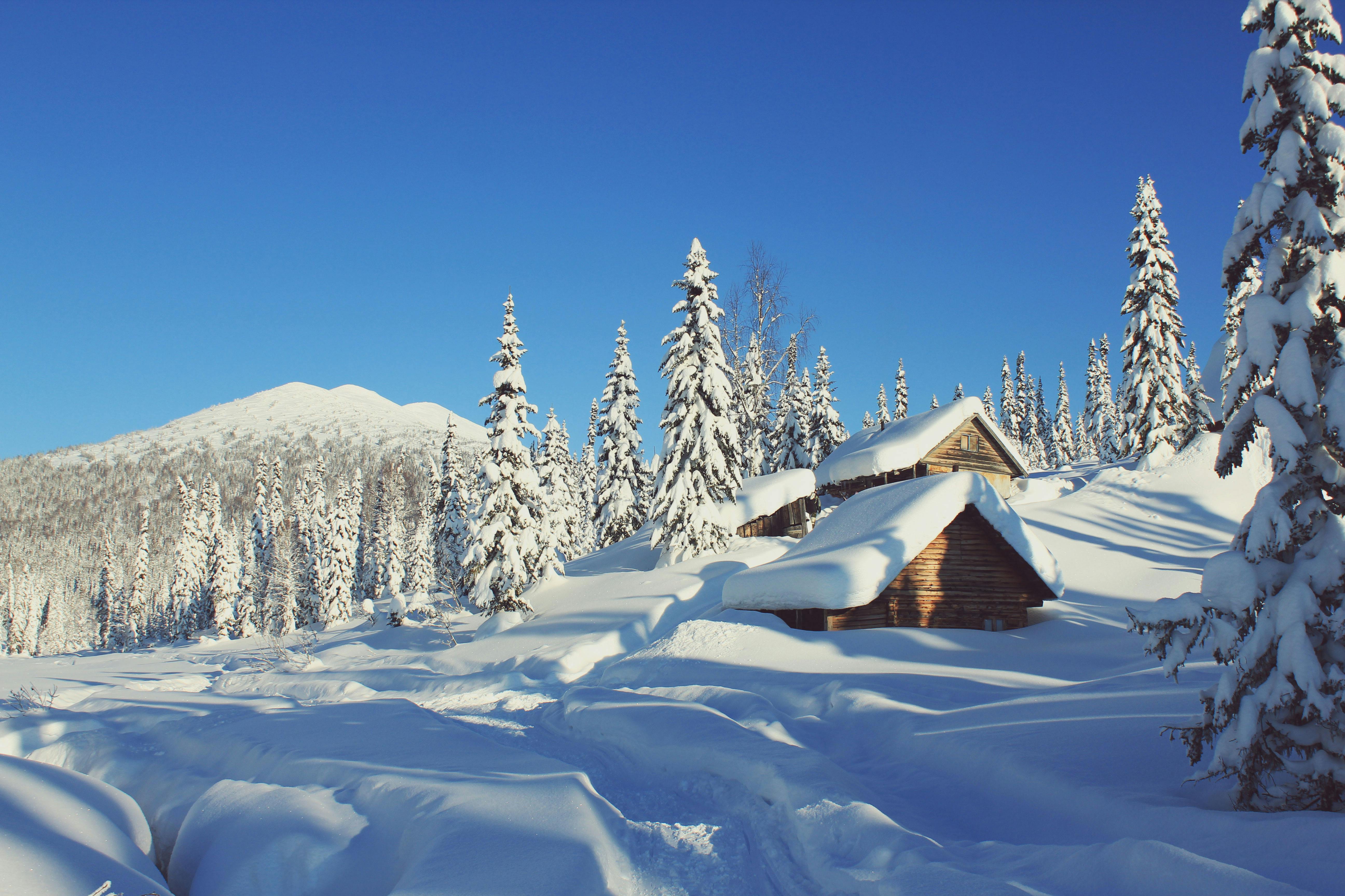 A Cabin during Winter · Free
