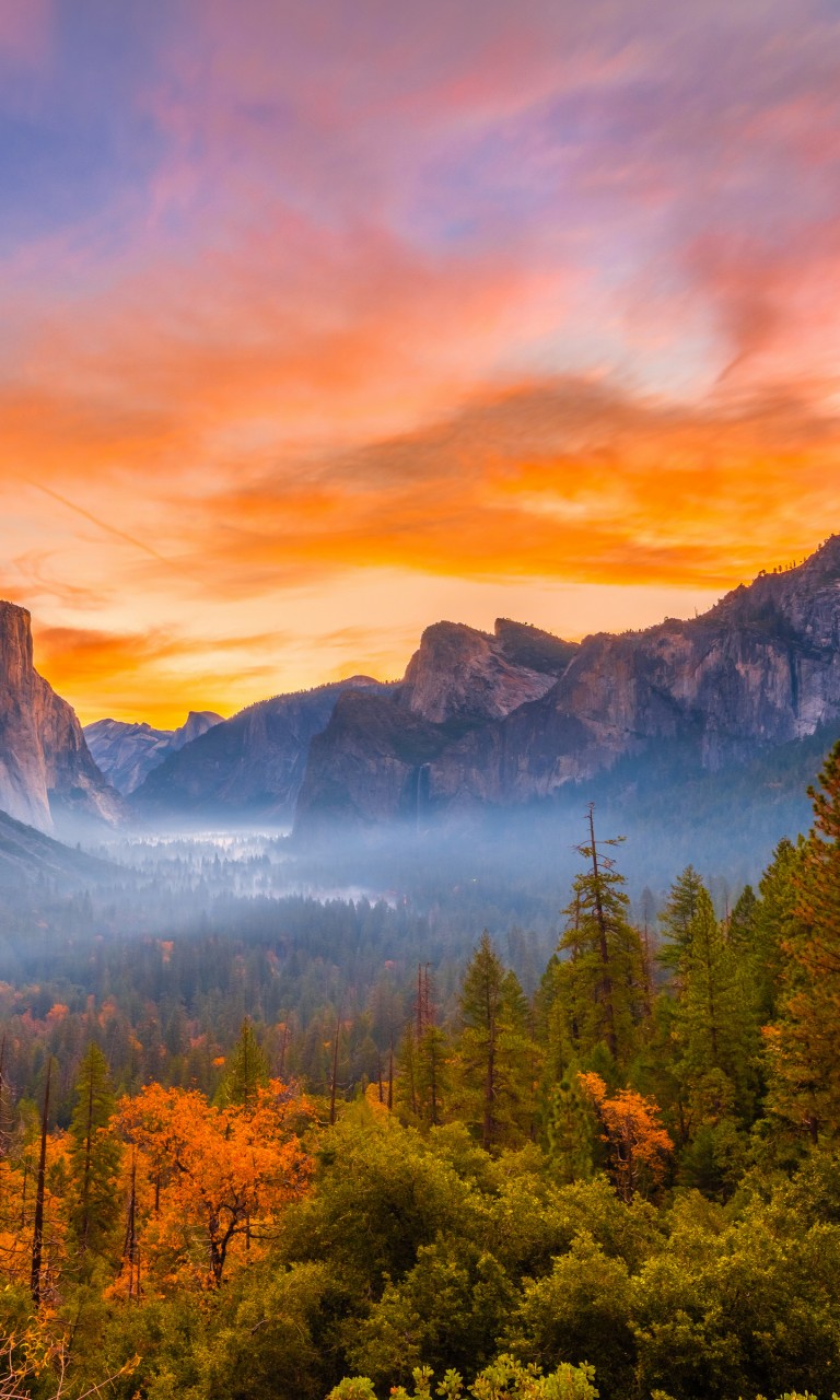 Beautiful Colorful Fall Autumn Trees In Rock Mountains Background During Sunset 4K 5K HD Nature Wallpaper
